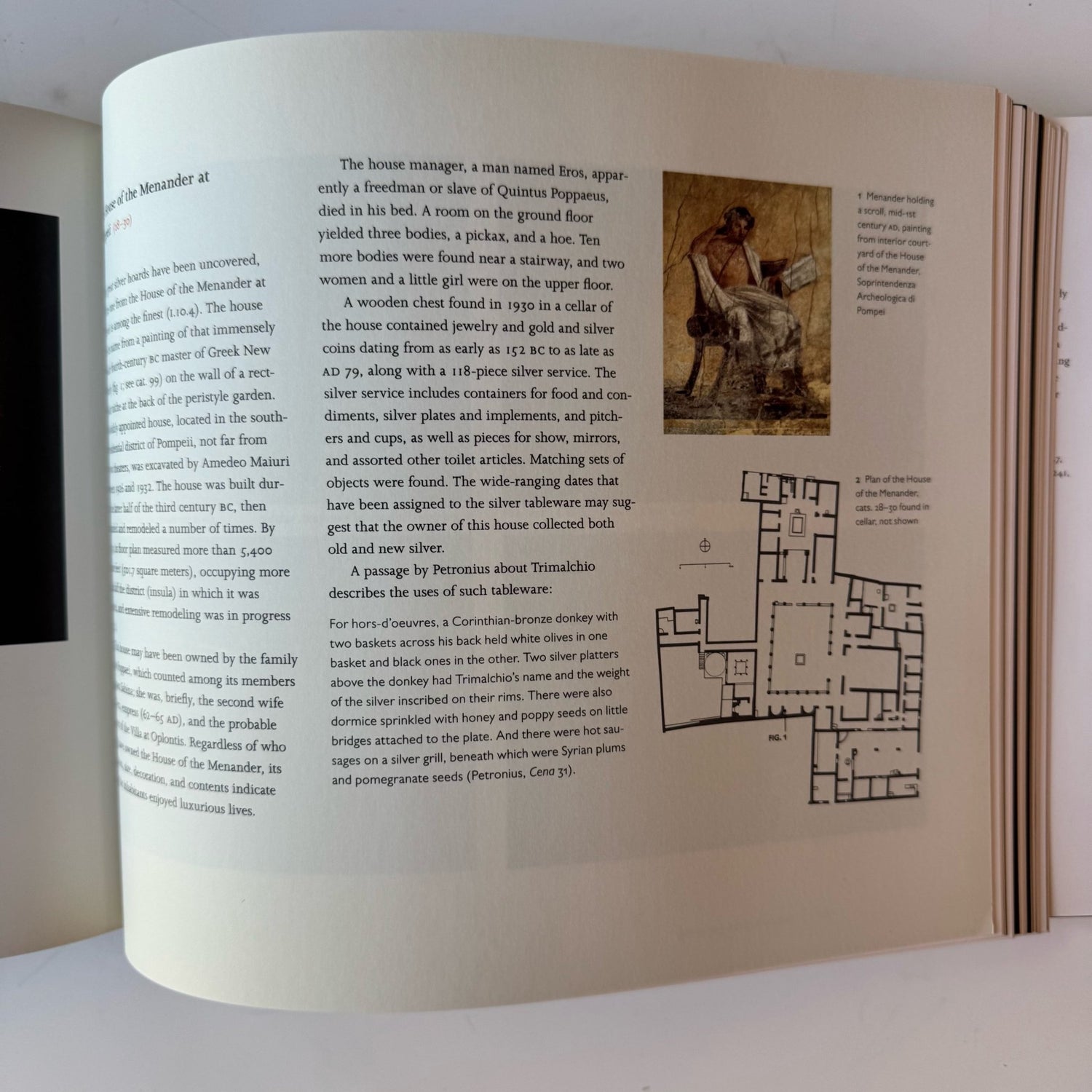 Pompeii and the Roman Villa: Art and Culture Around the Bay of Naples, Coffee Table Book - Pretty Old Books
