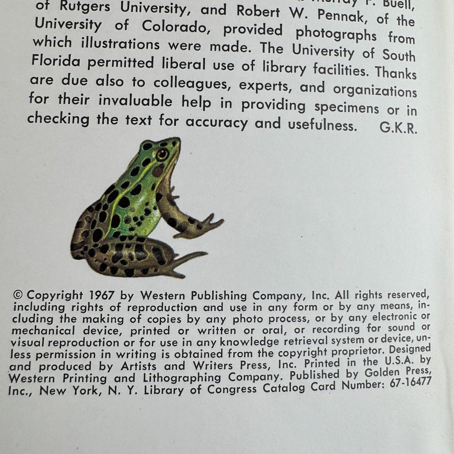 Pond Life, A Golden Guide, 1967 - Pretty Old Books