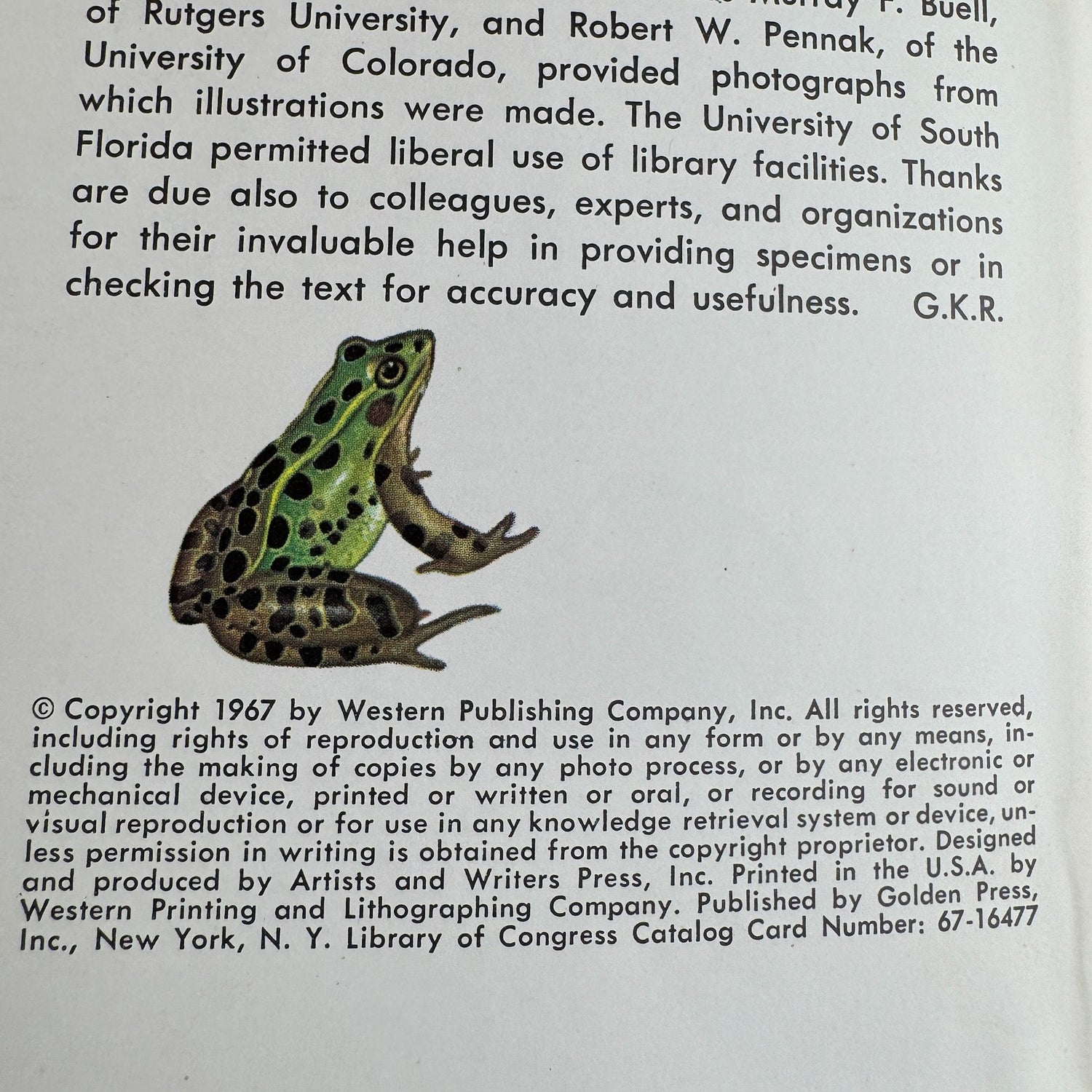 Pond Life, A Golden Guide, 1967 - Pretty Old Books