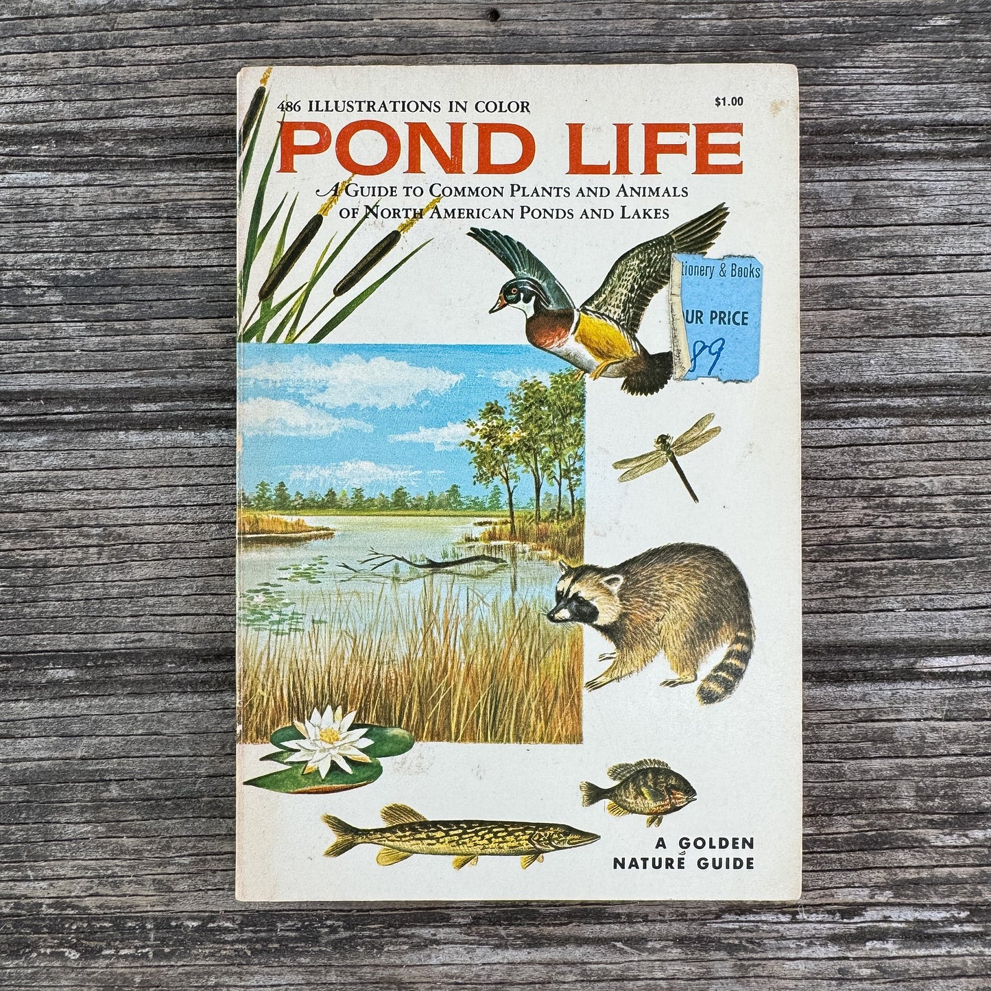 Pond Life, A Golden Guide, 1967 - Pretty Old Books