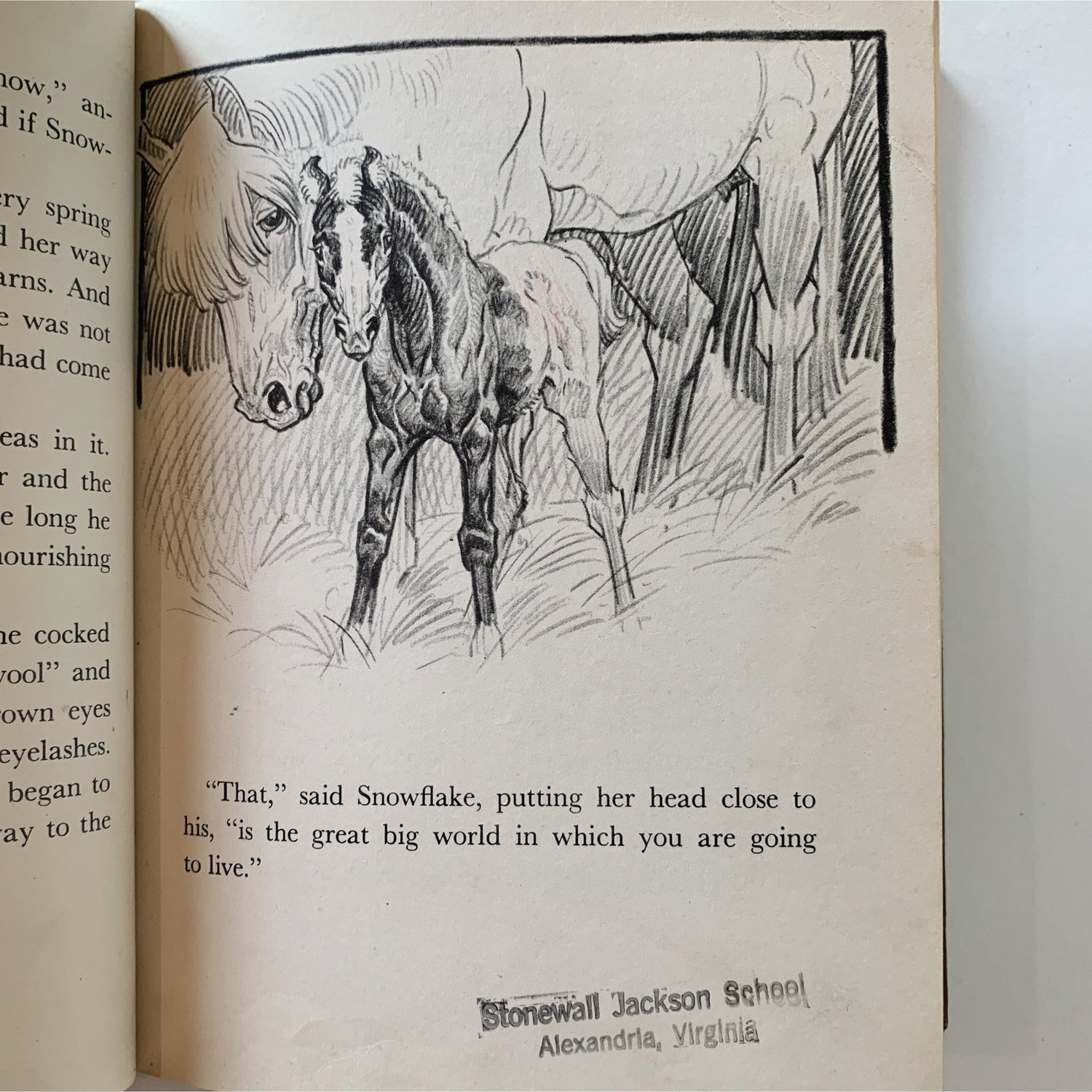 Pony Farm, Paul Brown, 1948, Children's Fiction - Pretty Old Books