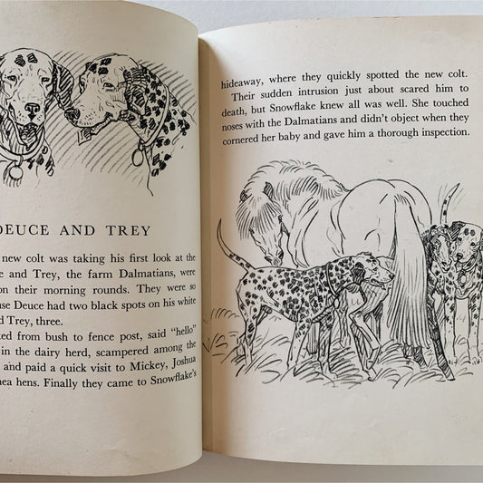 Pony Farm, Paul Brown, 1948, Children's Fiction - Pretty Old Books