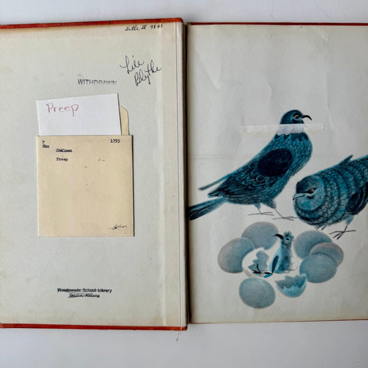 Preep: The Little Pigeon of Trafalgar Square, 1964 Hardcover - Pretty Old Books