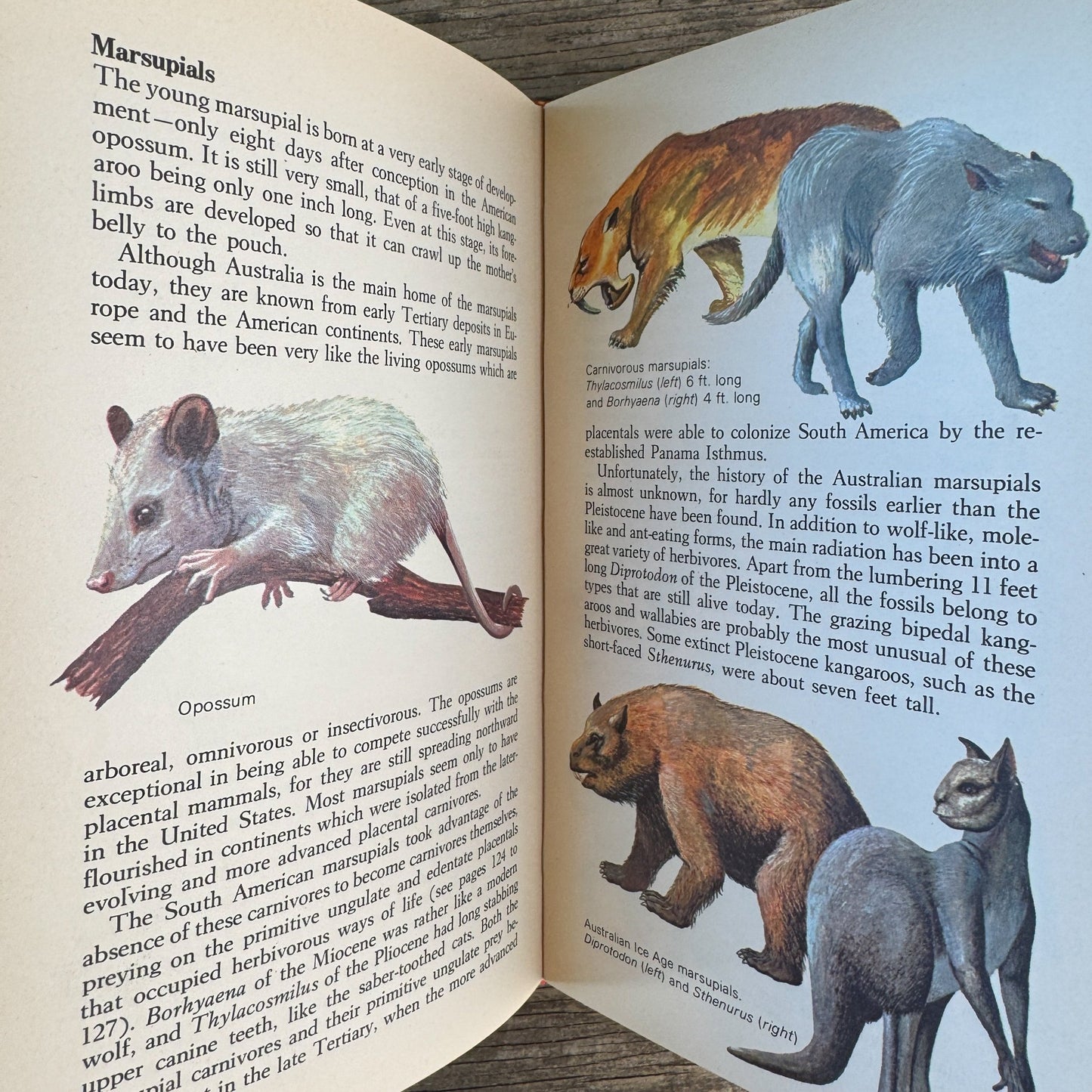 Prehistoric Animals, Barry Cox, A Grosset All-Color Guide, 1970 - Pretty Old Books