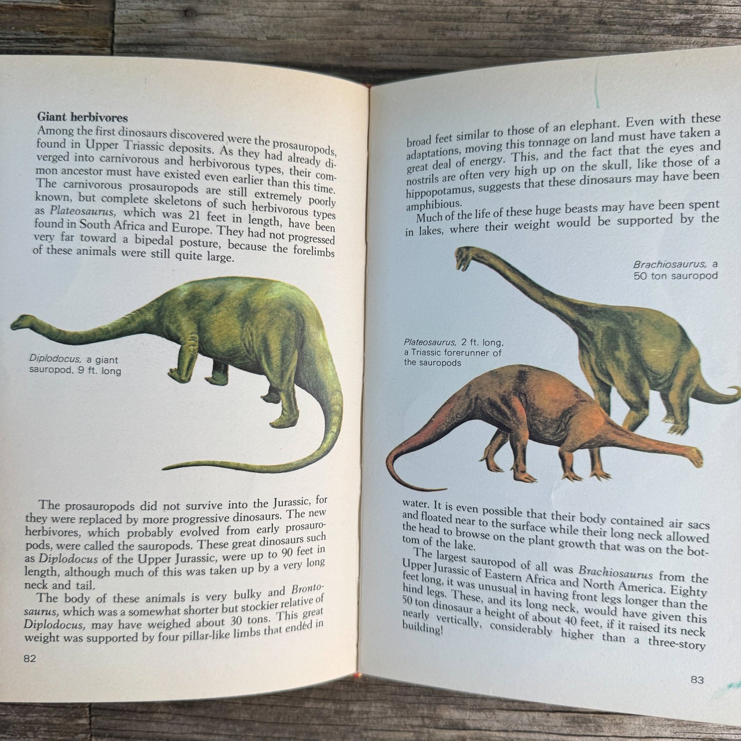Prehistoric Animals, Barry Cox, A Grosset All-Color Guide, 1970 - Pretty Old Books