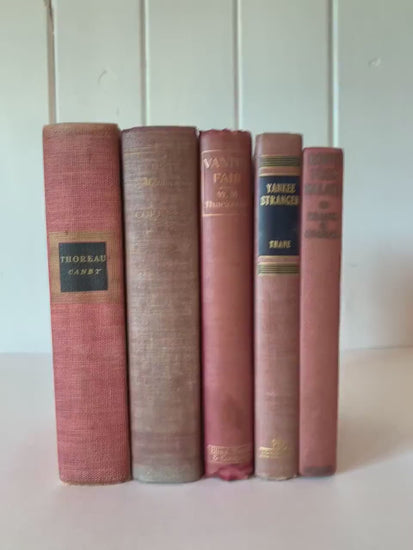Mauve and Pink Faded Shabby Vintage Books for Display