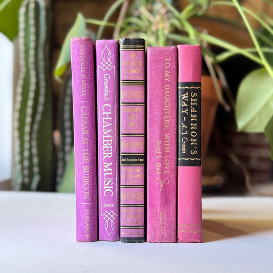 Purple Vintage Book Bundle for Shelf Styling and Decor - Pretty Old Books