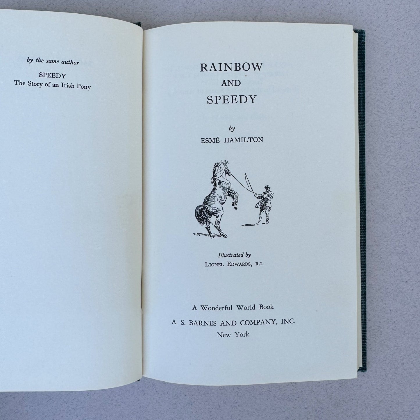Rainbow and Speedy, Esme Hamilton, 1959 Vintage Horse Story - Pretty Old Books