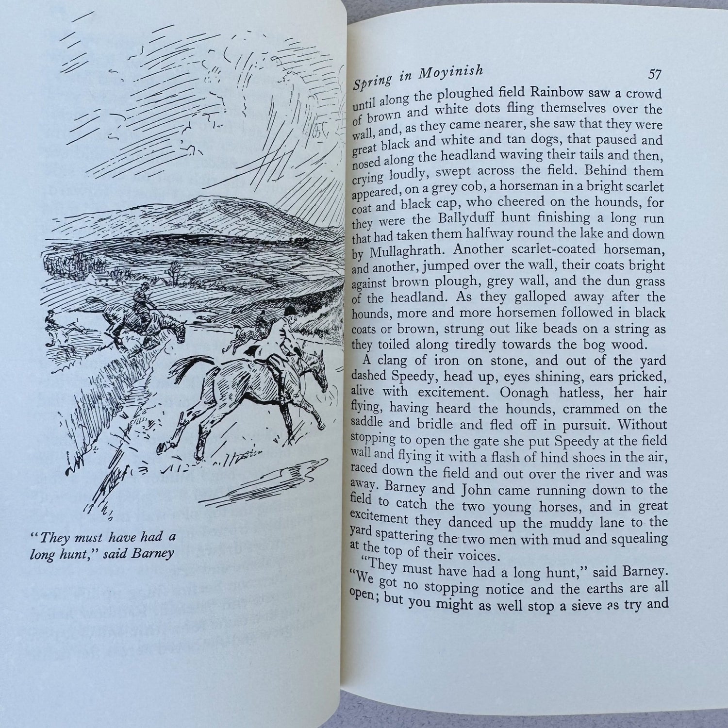 Rainbow and Speedy, Esme Hamilton, 1959 Vintage Horse Story - Pretty Old Books