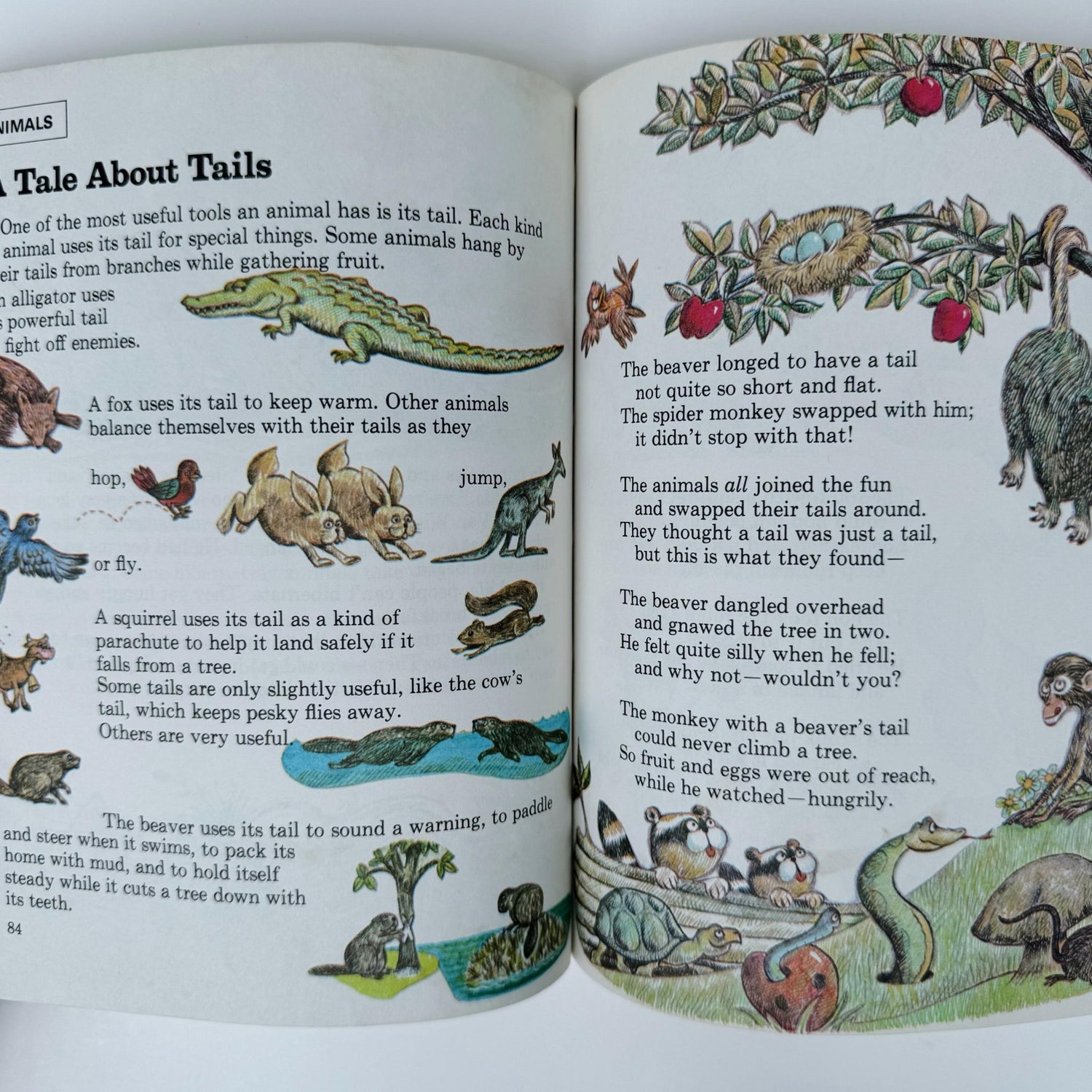 Rainbow Vintage Children's Book Set, The Young Children's Encyclopedia, Partial Set, 1977 - Pretty Old Books