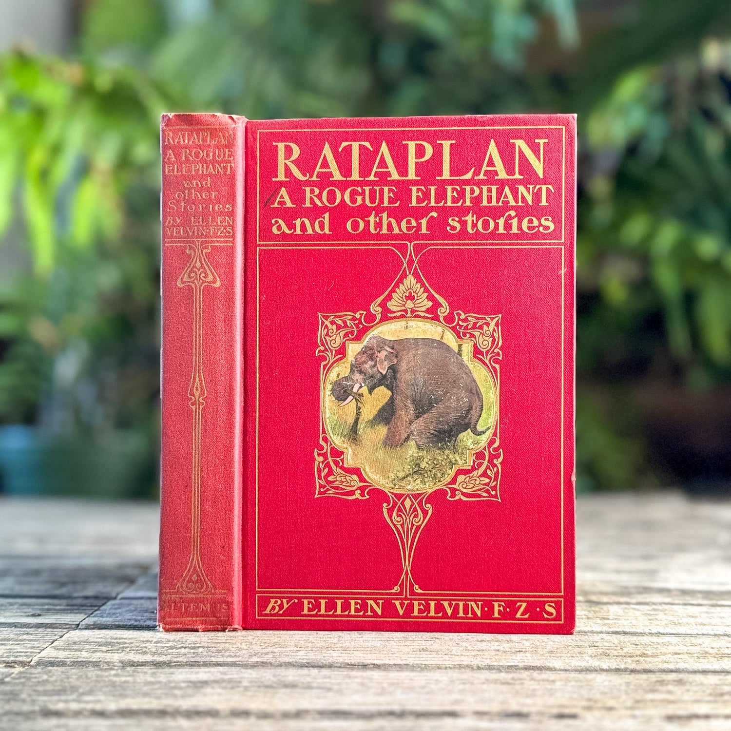 Rataplan: A Rogue Elephant and Other Stories, Ellen Velvin, 1902 - Pretty Old Books