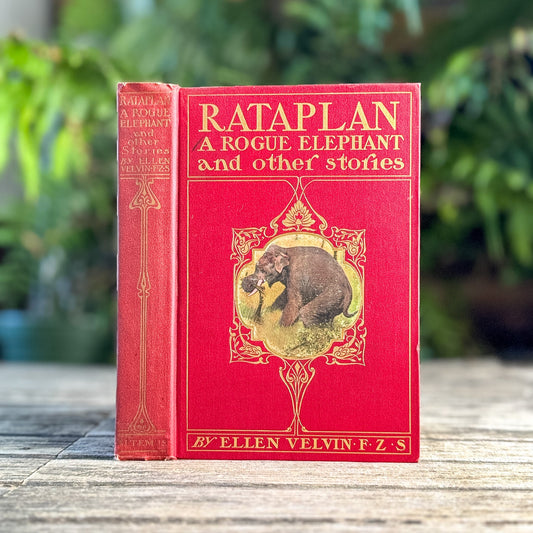 Rataplan: A Rogue Elephant and Other Stories, Ellen Velvin, 1902 - Pretty Old Books