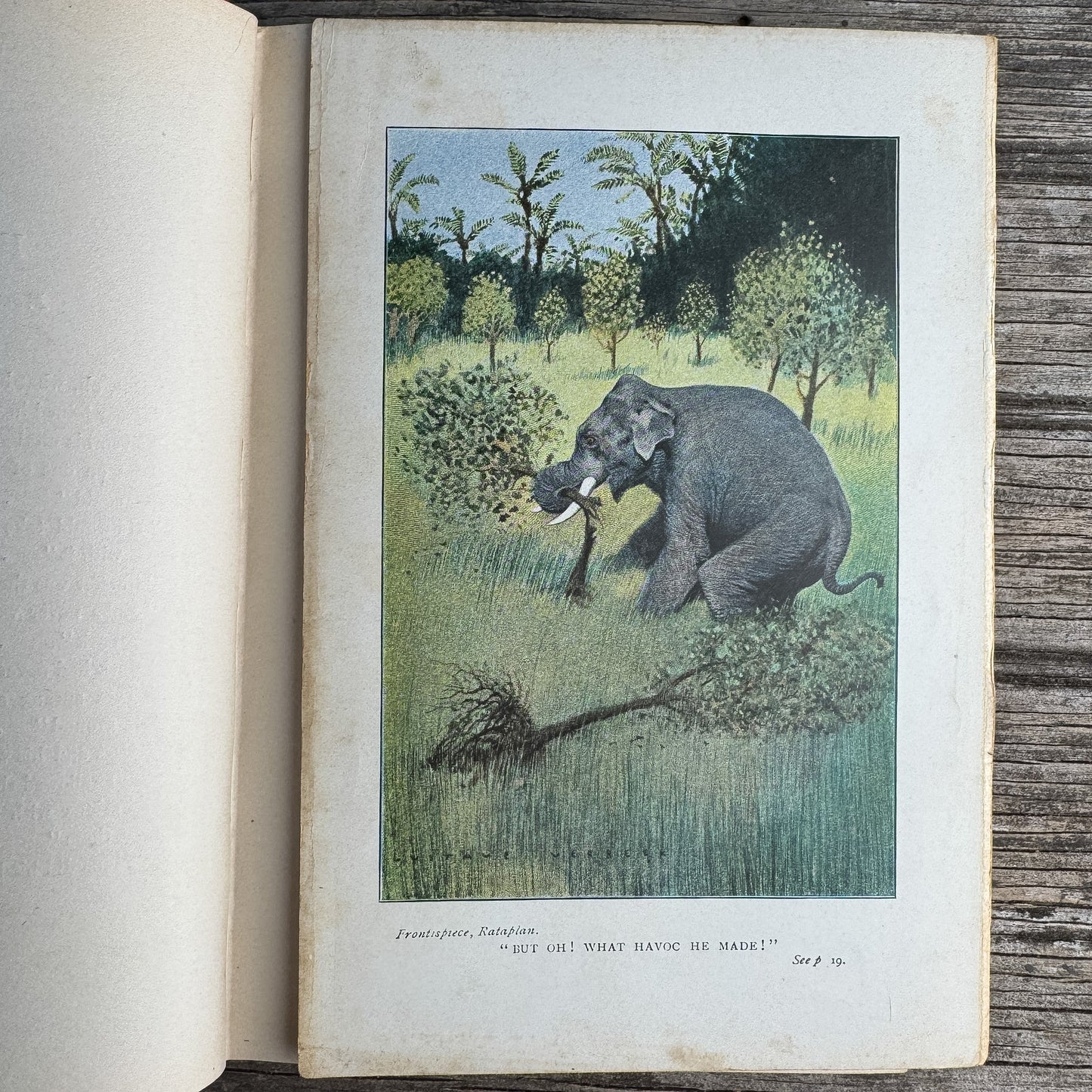 Rataplan: A Rogue Elephant and Other Stories, Ellen Velvin, 1902 - Pretty Old Books
