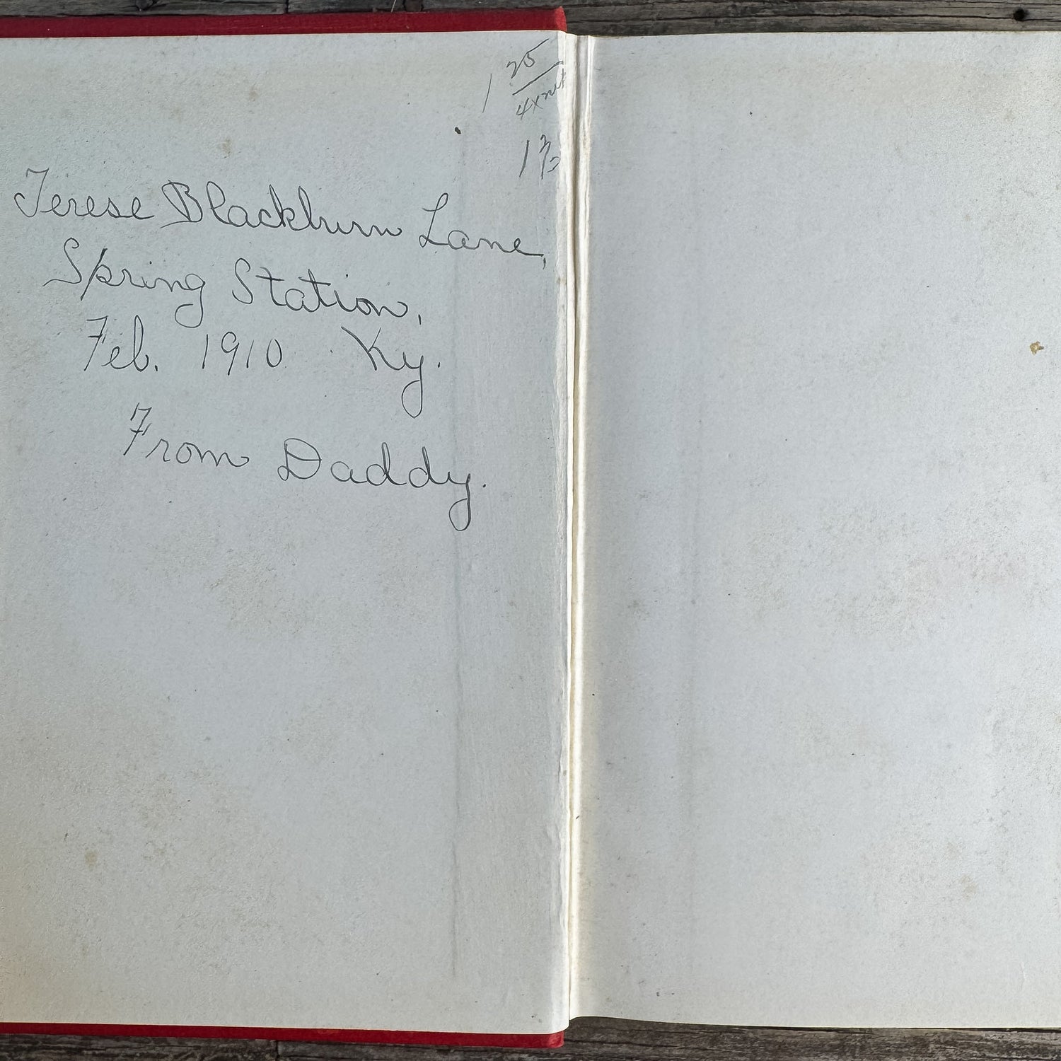 Rataplan: A Rogue Elephant and Other Stories, Ellen Velvin, 1902 - Pretty Old Books