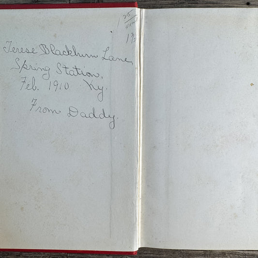Rataplan: A Rogue Elephant and Other Stories, Ellen Velvin, 1902 - Pretty Old Books