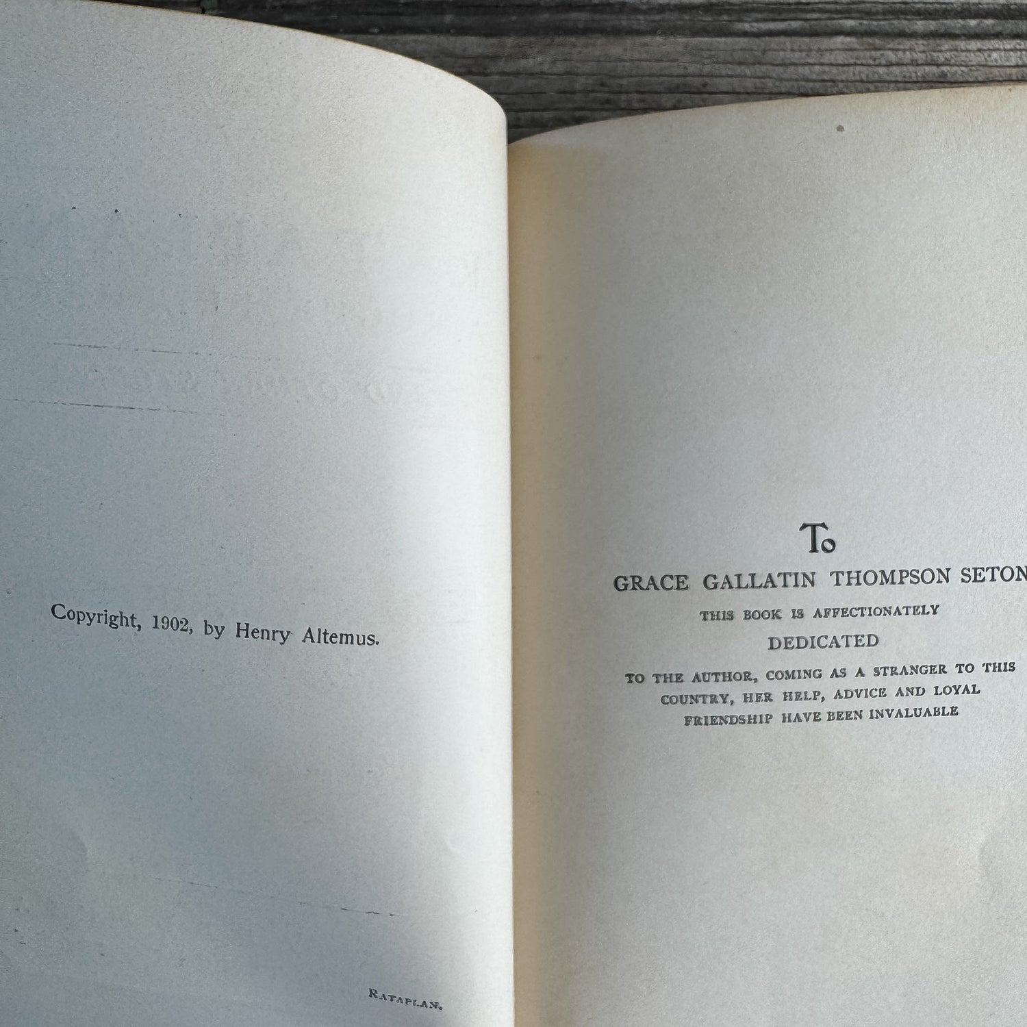 Rataplan: A Rogue Elephant and Other Stories, Ellen Velvin, 1902 - Pretty Old Books