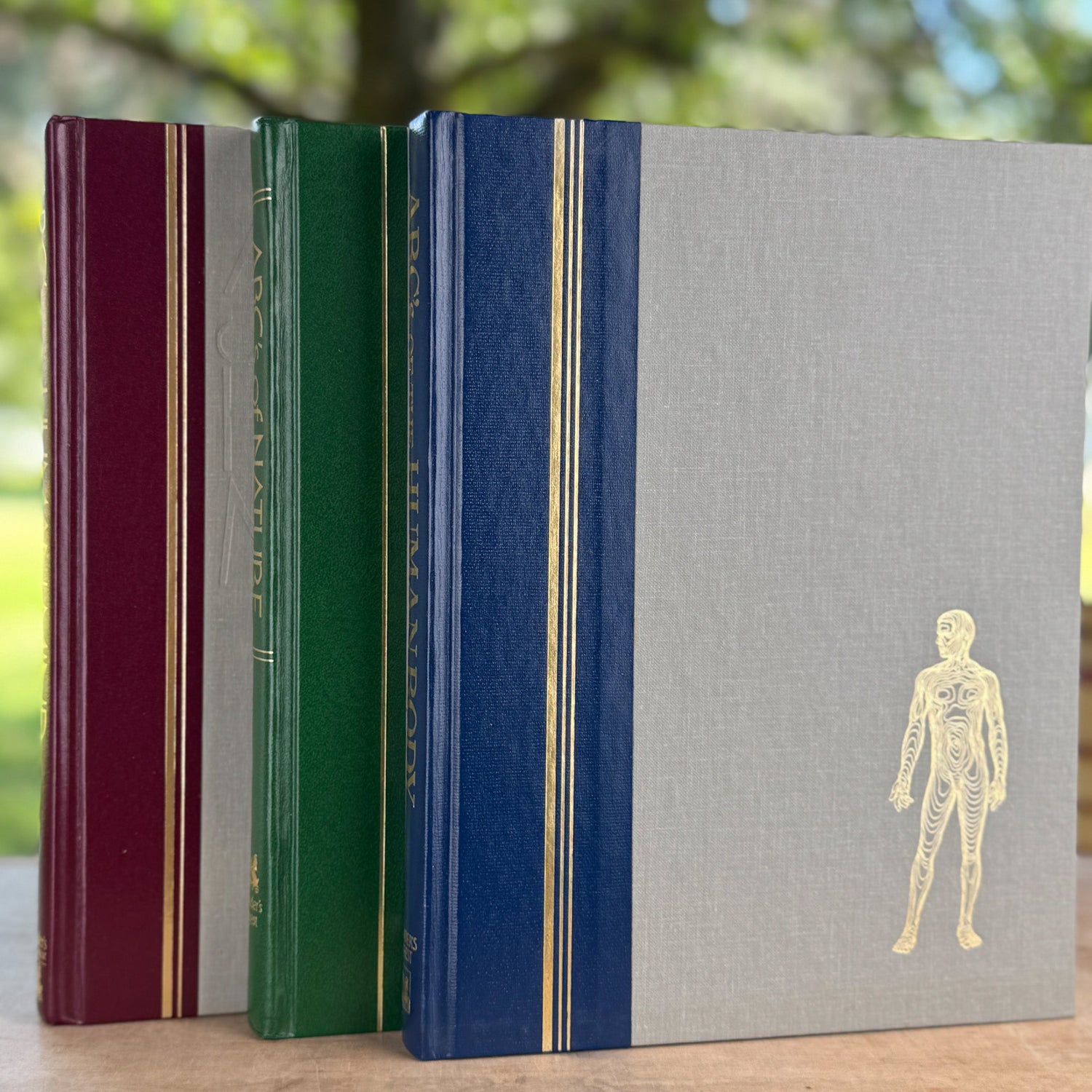 Reader's Digest ABCs: A Family Answer Book Set, Nature, Human Body and Mind, Illustrated - Pretty Old Books