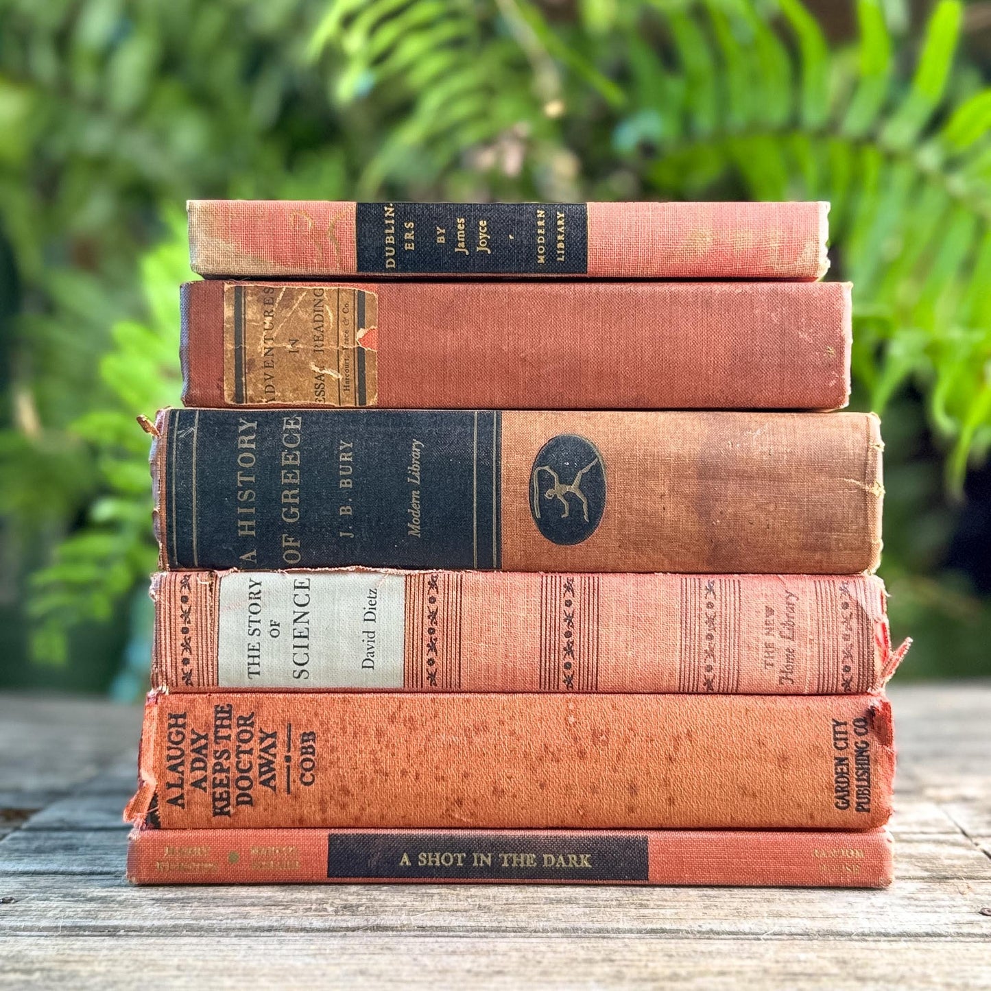 Red and Black Shabby Mid-Century Modern Decorative Books for Decor - Pretty Old Books