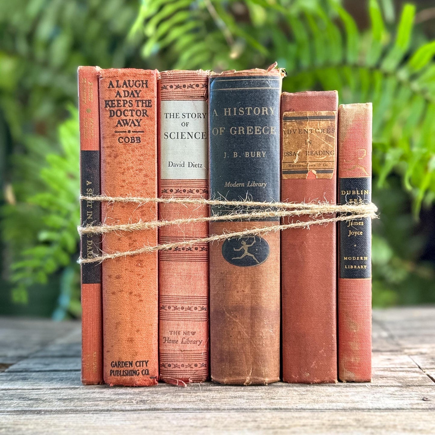Red and Black Shabby Mid-Century Modern Decorative Books for Decor - Pretty Old Books