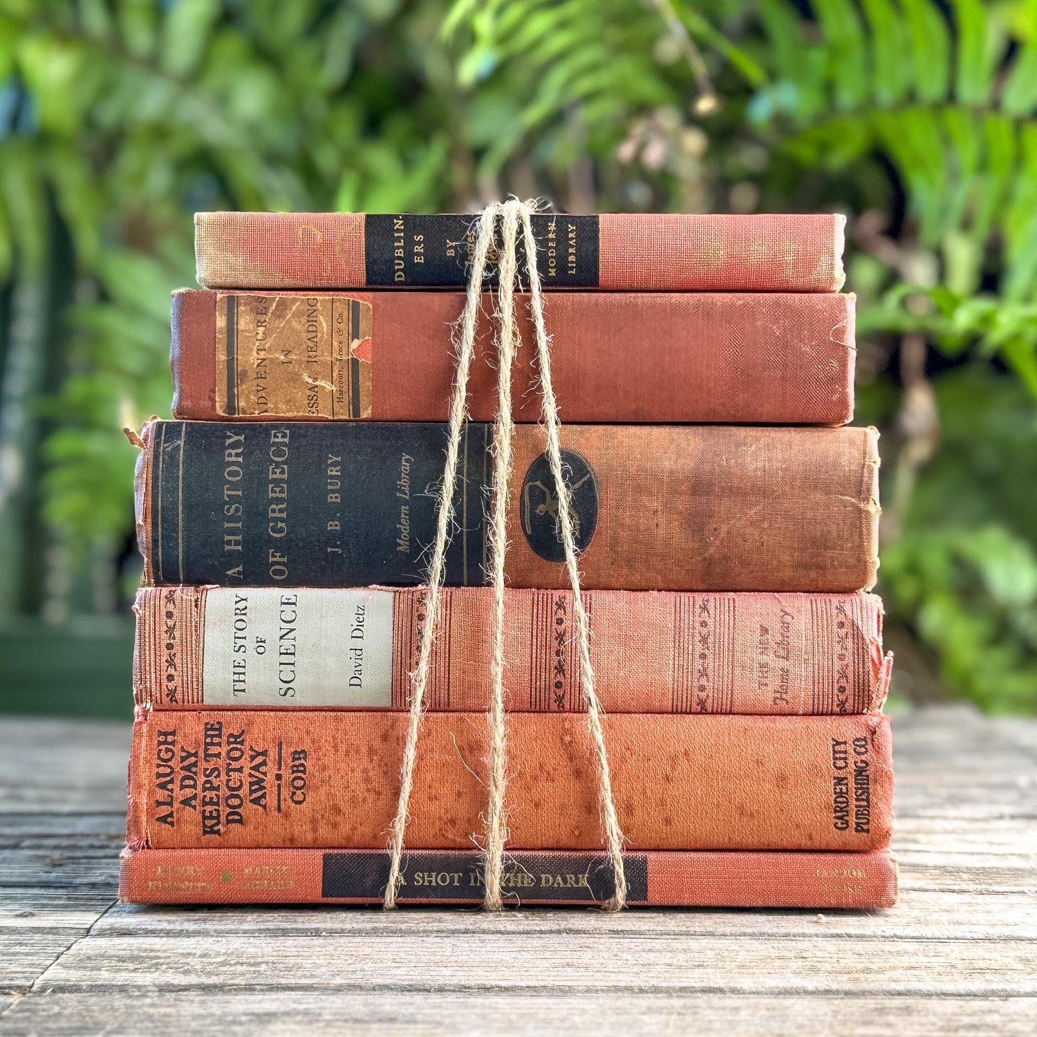 Red and Black Shabby Mid-Century Modern Decorative Books for Decor - Pretty Old Books
