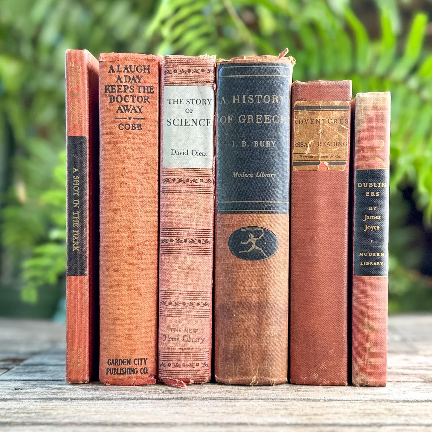 Red and Black Shabby Mid-Century Modern Decorative Books for Decor - Pretty Old Books