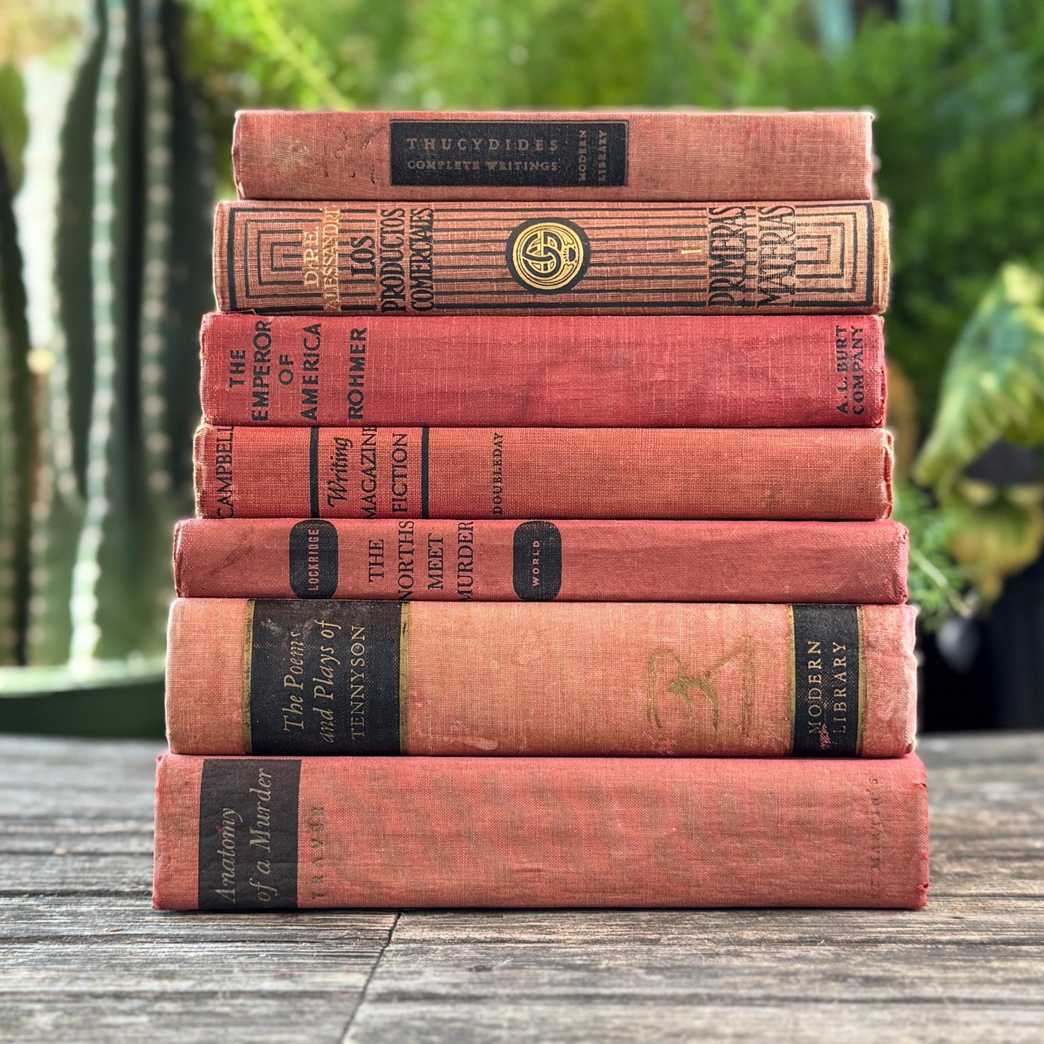 Red and Black Shabby Mid - Century Modern Decorative Books for Display - Pretty Old Books