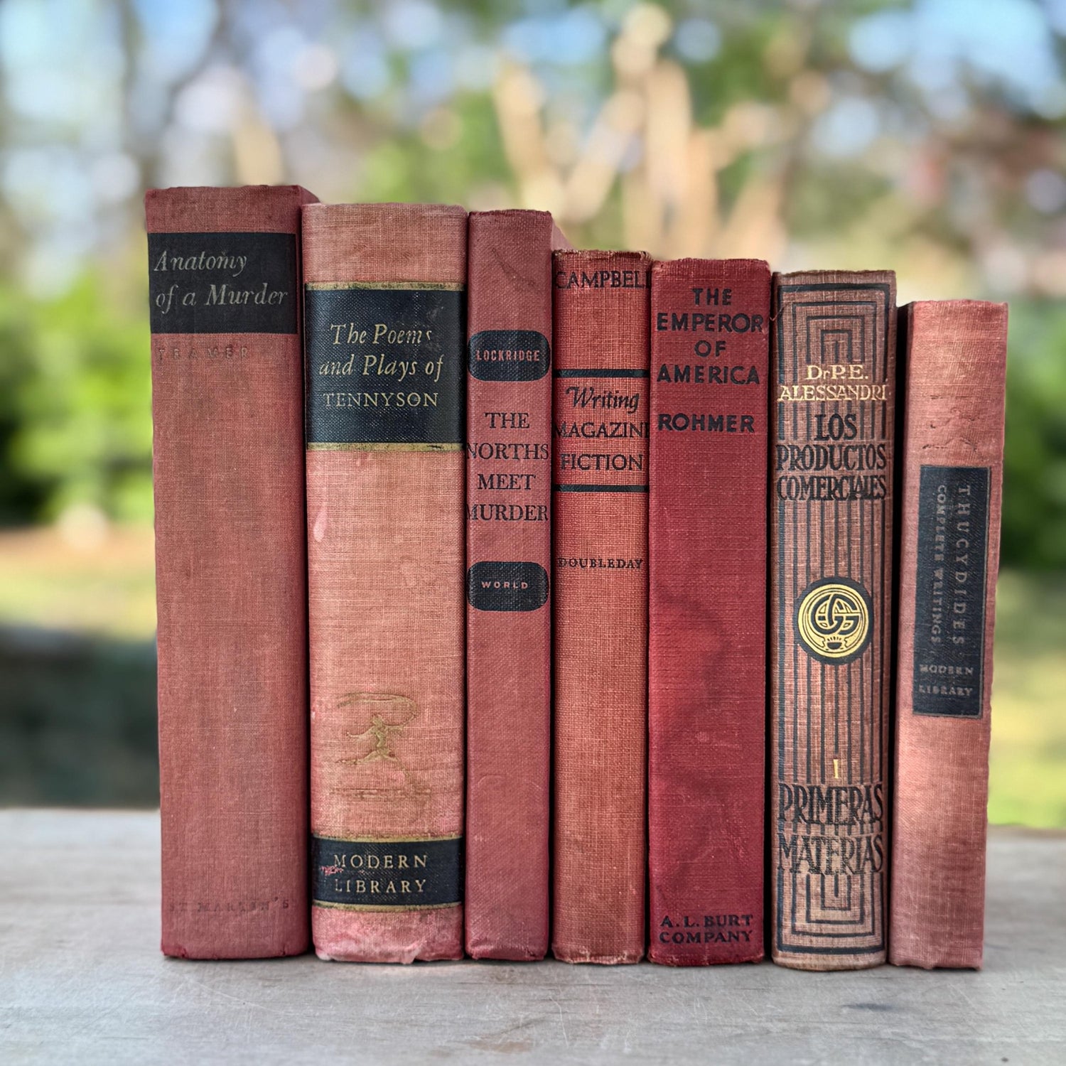 Red and Black Shabby Mid - Century Modern Decorative Books for Display - Pretty Old Books