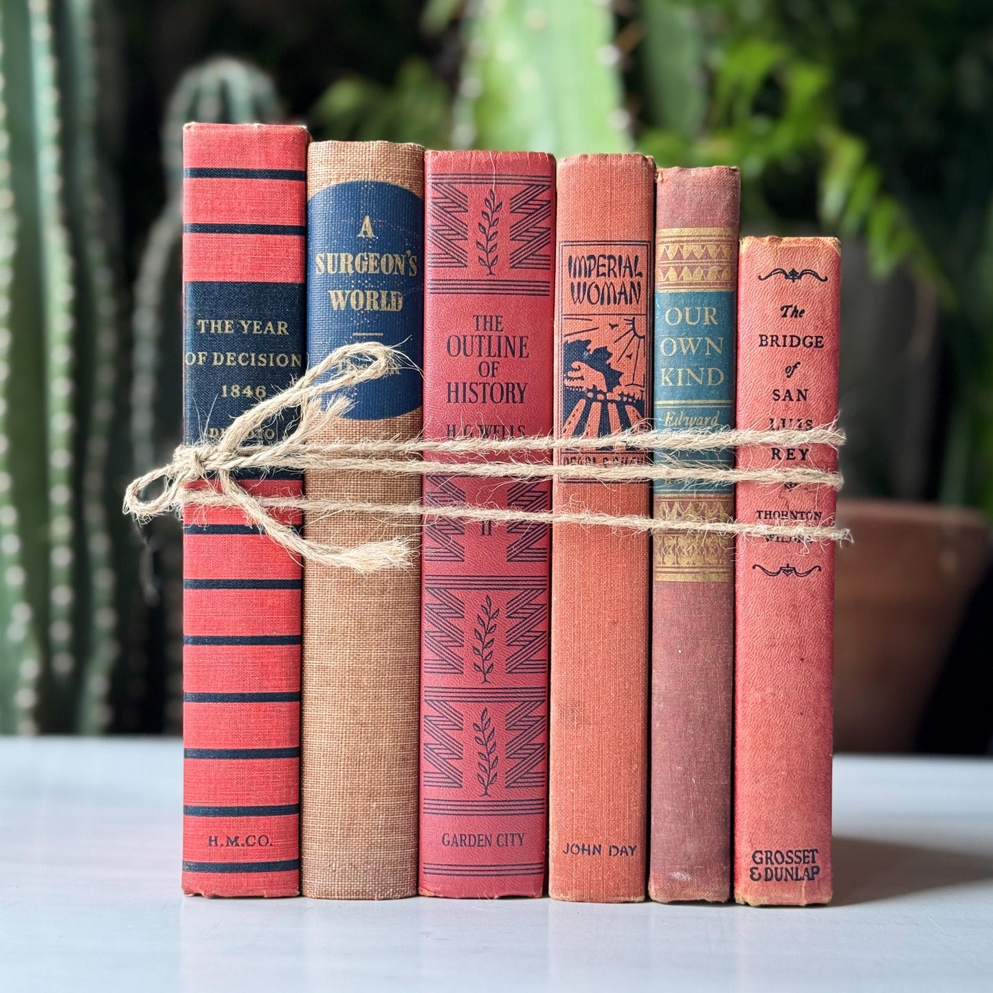 Red and Blue Vintage Book Set for Unique Shelf Styling - Pretty Old Books