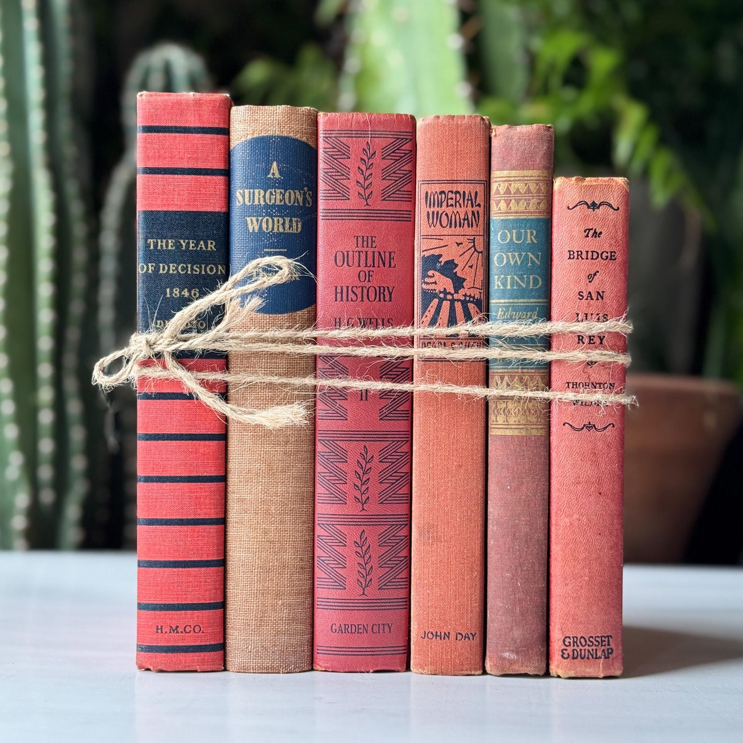 Red and Blue Vintage Book Set for Unique Shelf Styling - Pretty Old Books