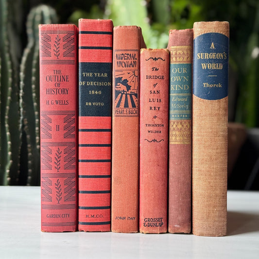 Red and Blue Vintage Book Set for Unique Shelf Styling - Pretty Old Books