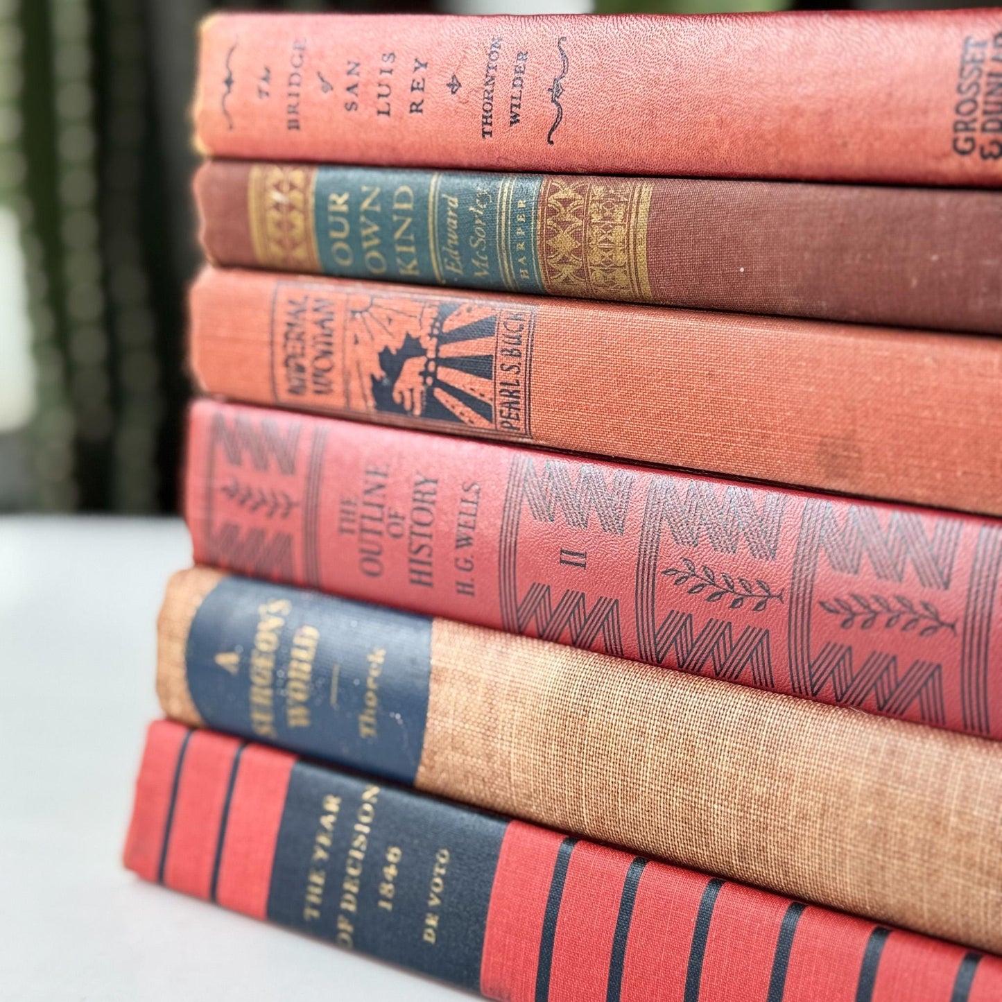 Red and Blue Vintage Book Set for Unique Shelf Styling - Pretty Old Books