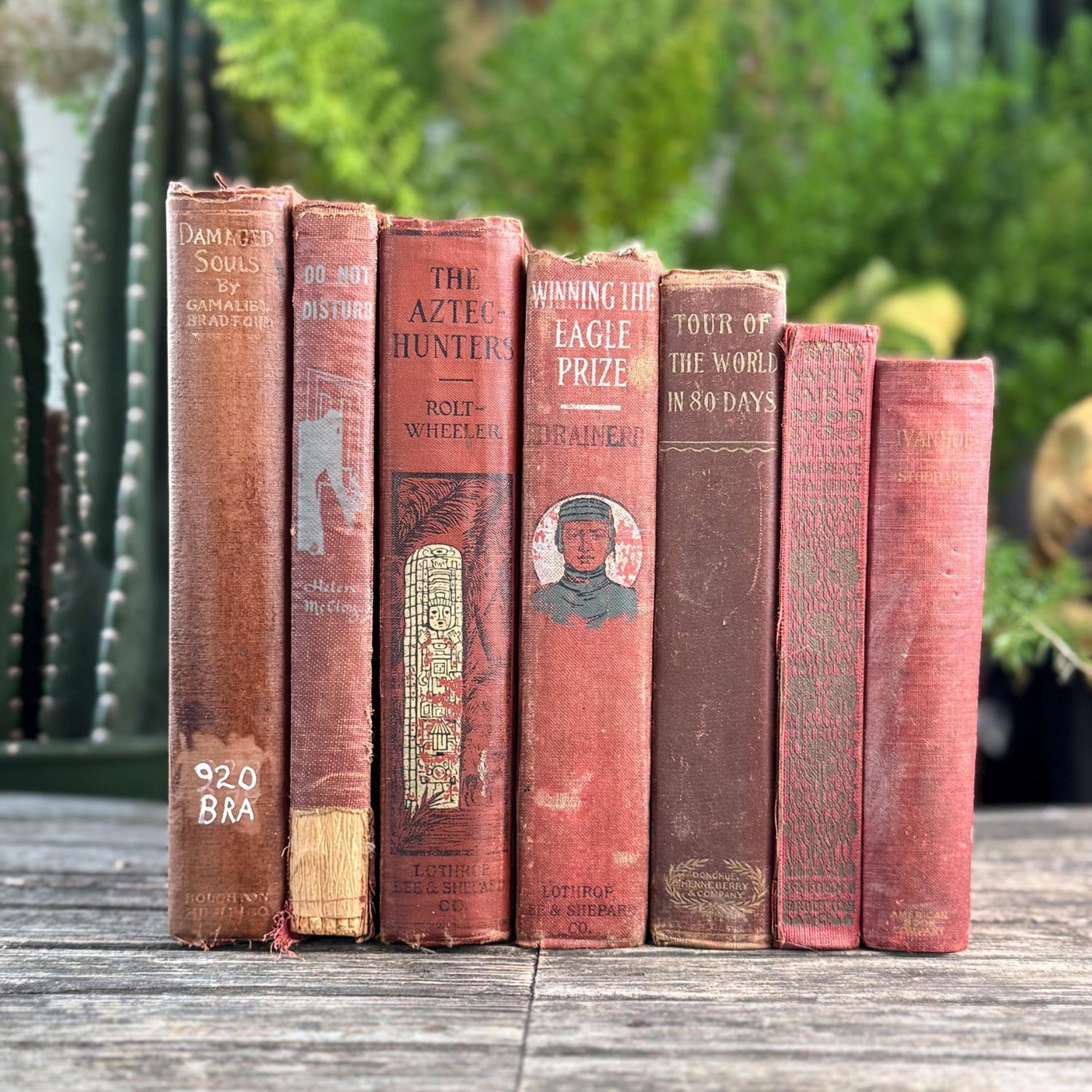 Red and Copper Antique Shabby Book Bundle for Shelf Styling - Pretty Old Books