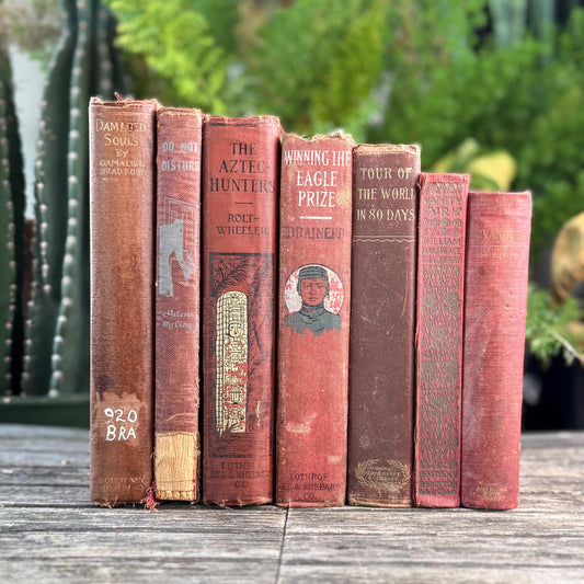 Red and Copper Antique Shabby Book Bundle for Shelf Styling - Pretty Old Books
