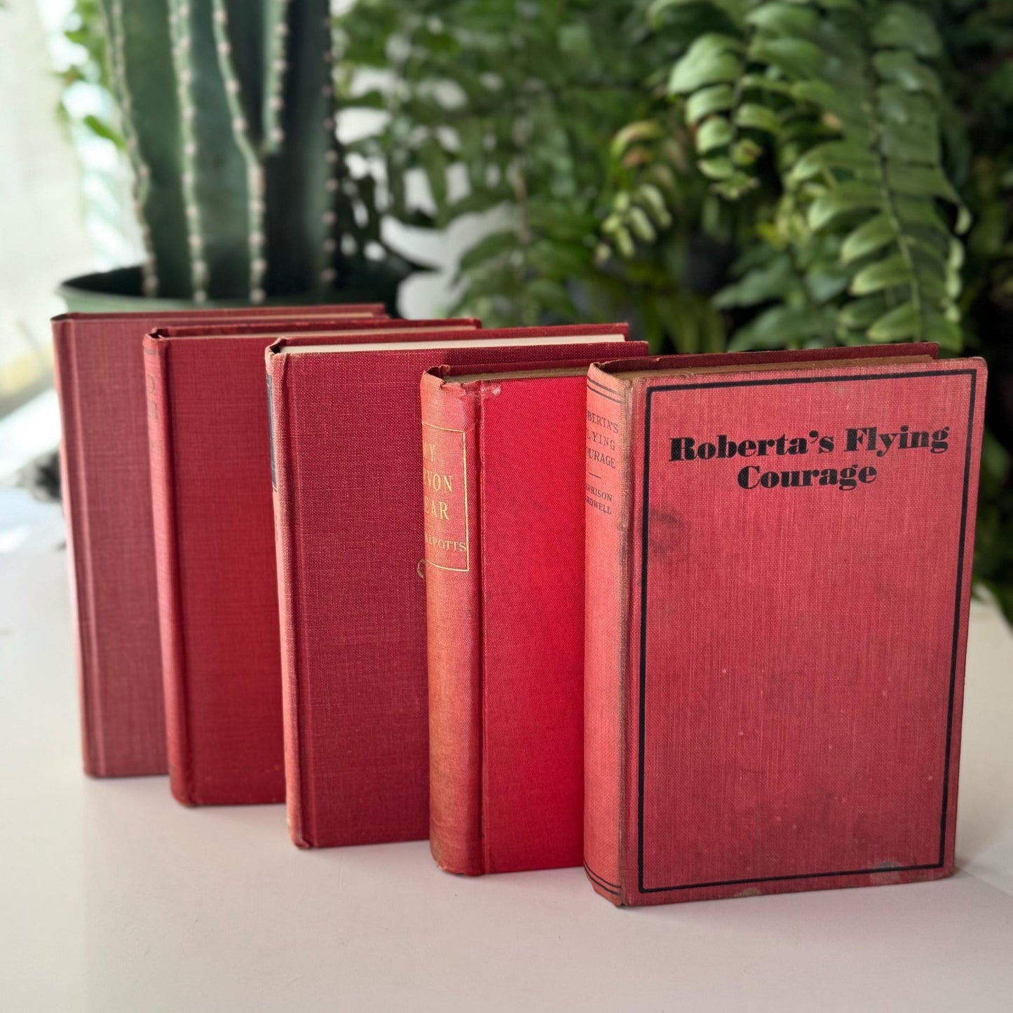 Red and Coral Pink Faded Vintage Books for Shelf Styling - Pretty Old Books