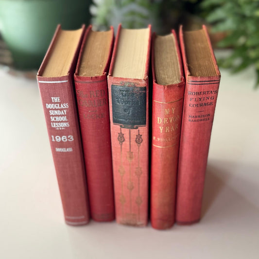 Red and Coral Pink Faded Vintage Books for Shelf Styling - Pretty Old Books