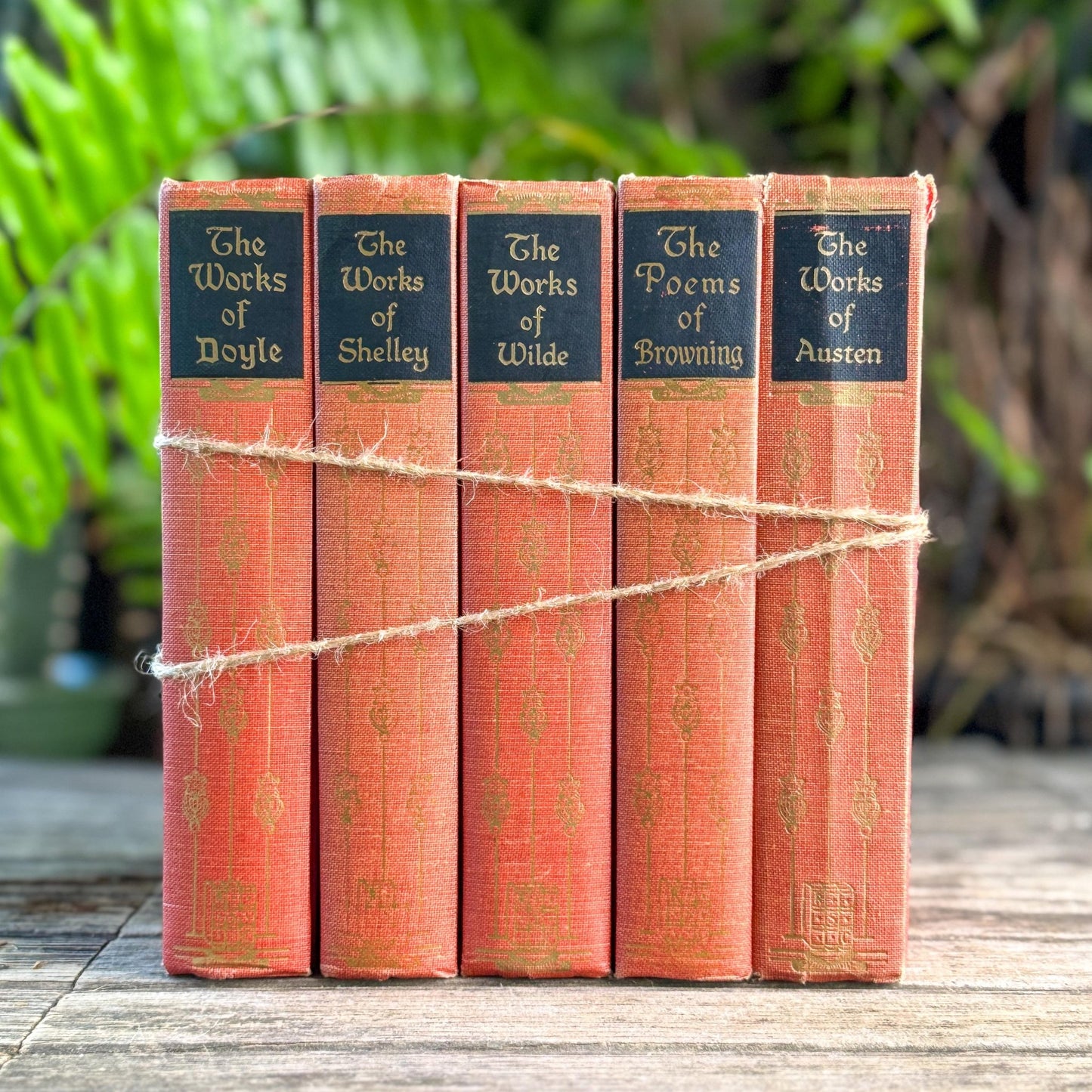 Red and Pink Vintage Art Noveau Books, Jane Austen - Pretty Old Books