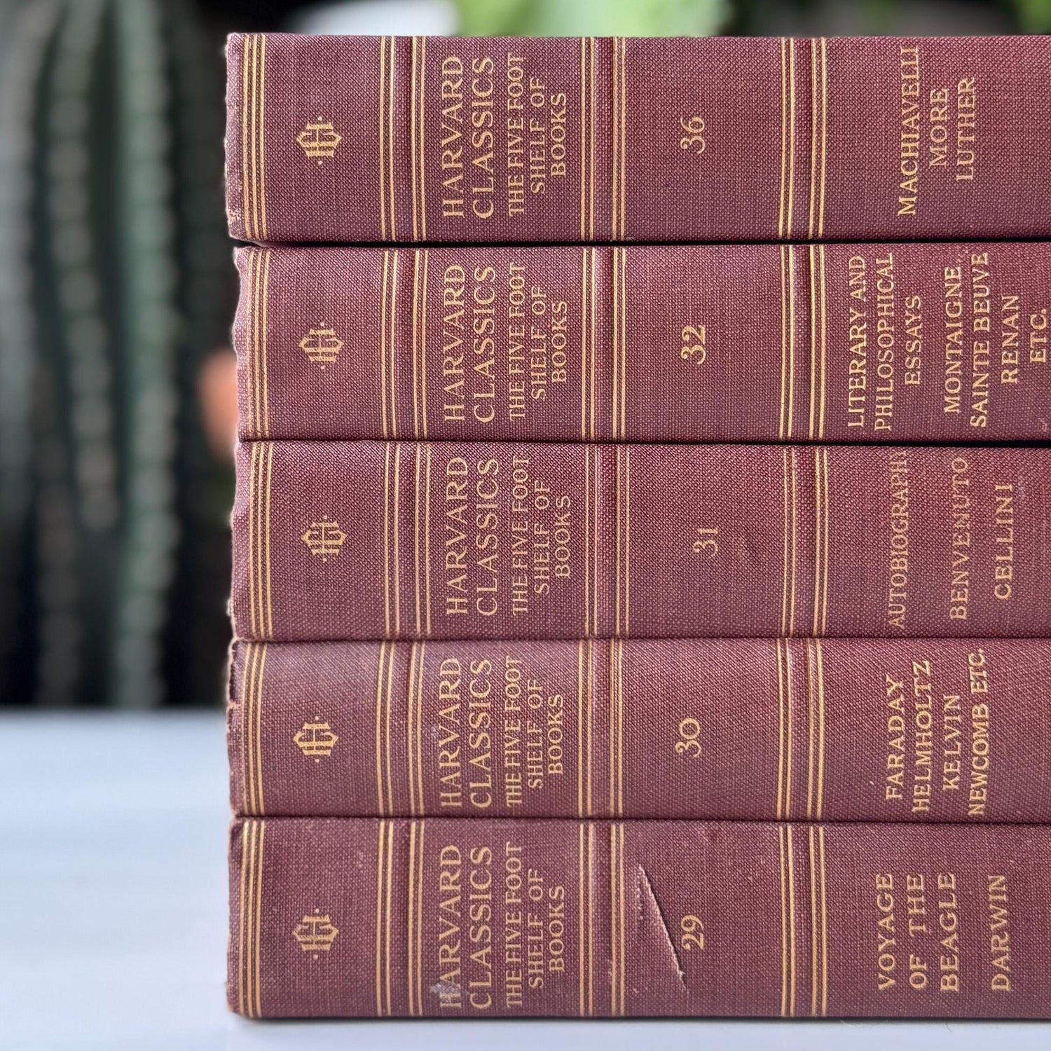 Red Harvard Classics Five Foot Shelf of Books Partial Set, 1910 Set of 5 - Pretty Old Books