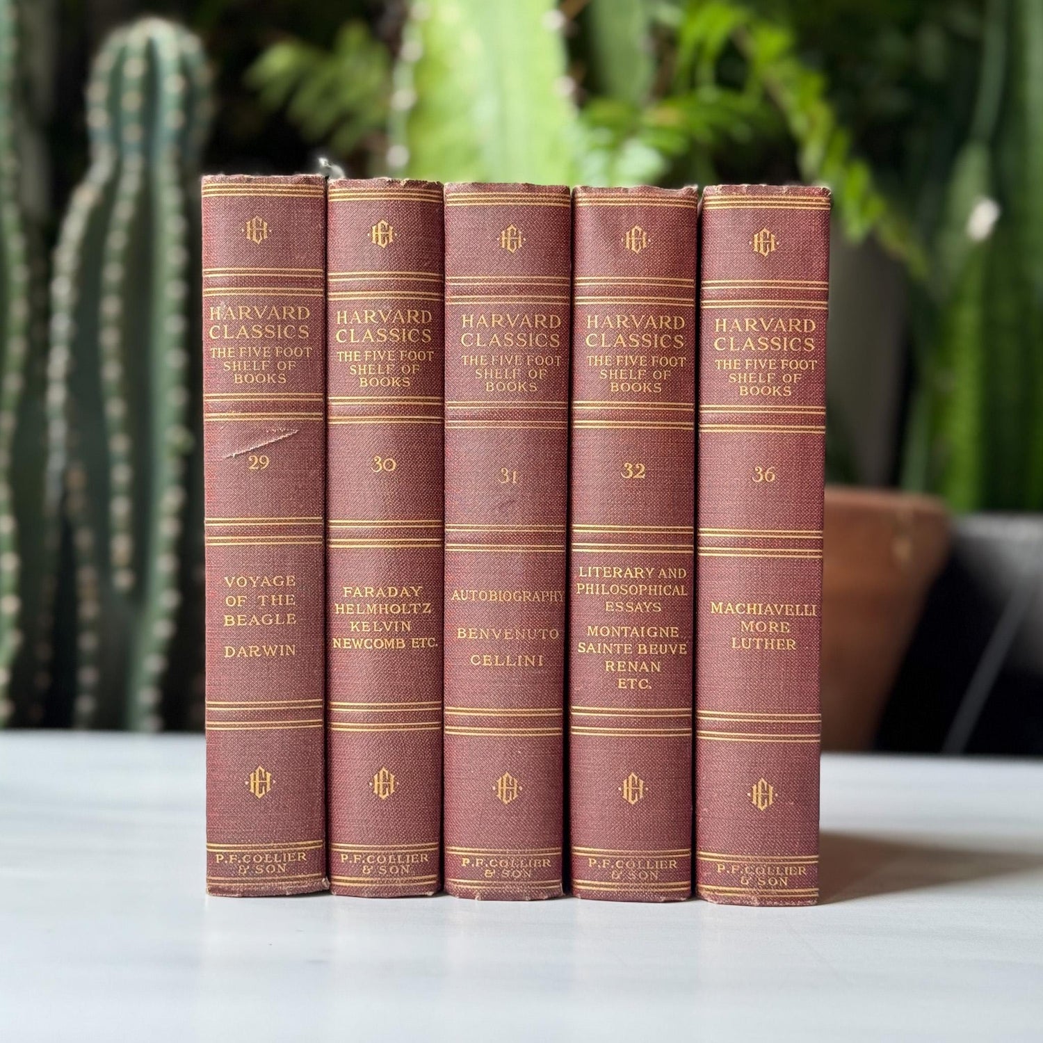 Red Harvard Classics Five Foot Shelf of Books Partial Set, 1910 Set of 5 - Pretty Old Books