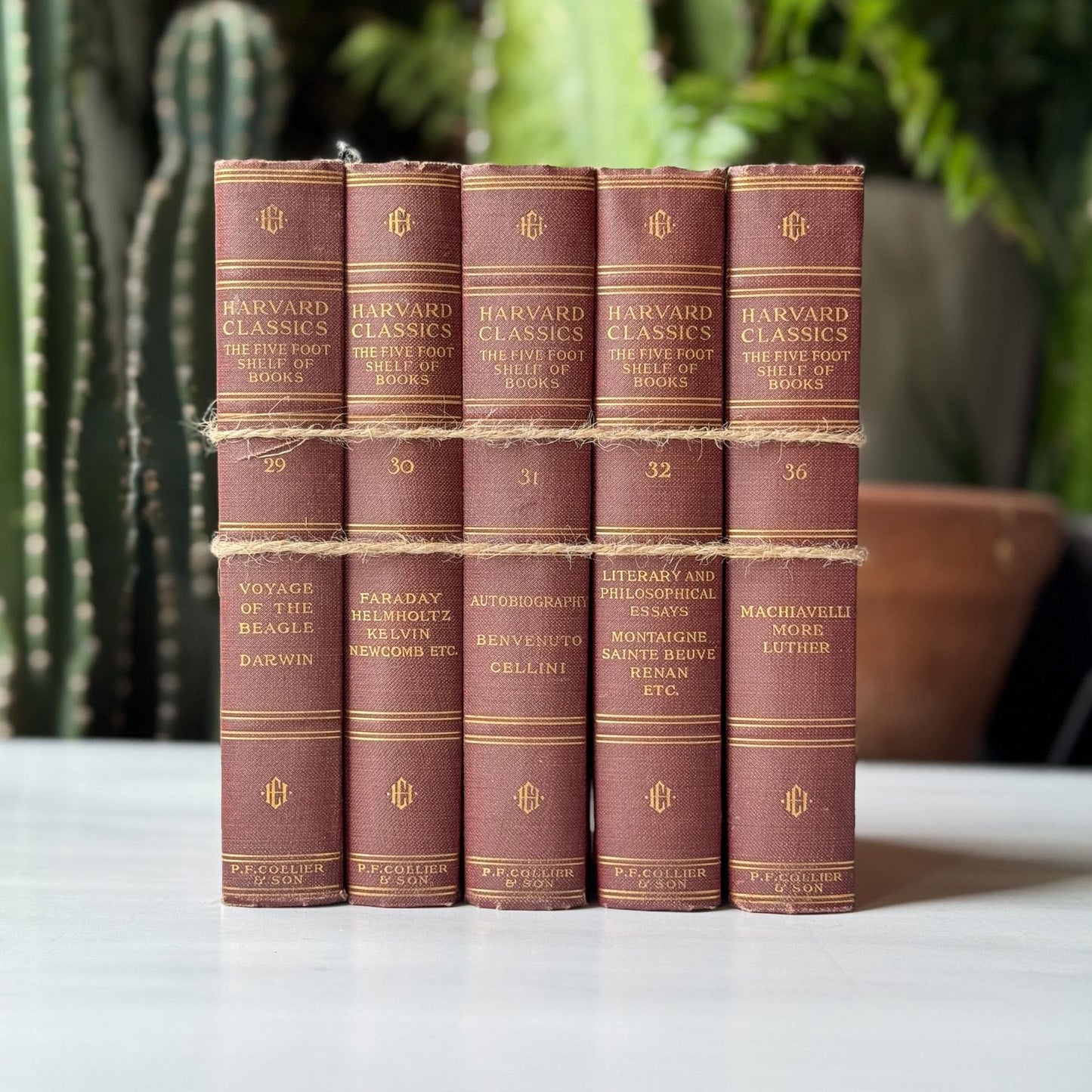 Red Harvard Classics Five Foot Shelf of Books Partial Set, 1910 Set of 5 - Pretty Old Books