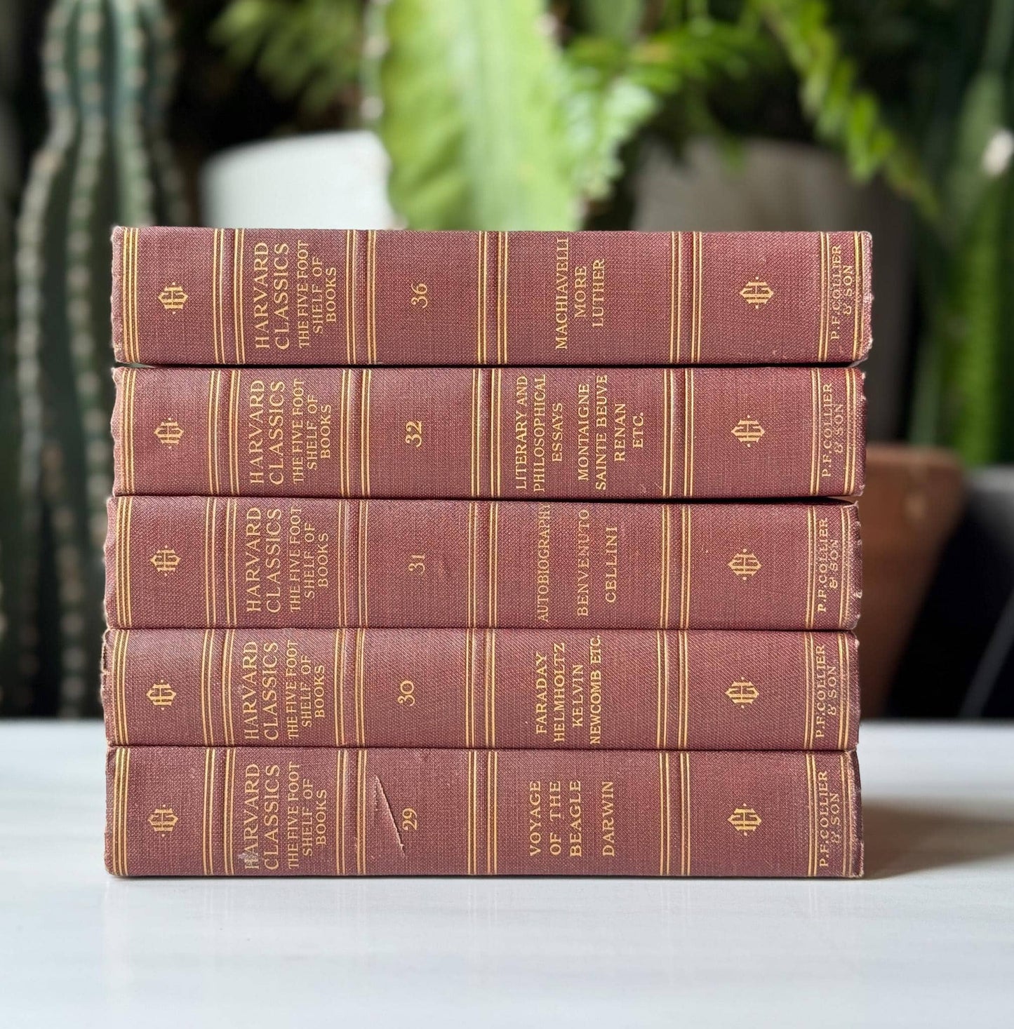 Red Harvard Classics Five Foot Shelf of Books Partial Set, 1910 Set of 5 - Pretty Old Books