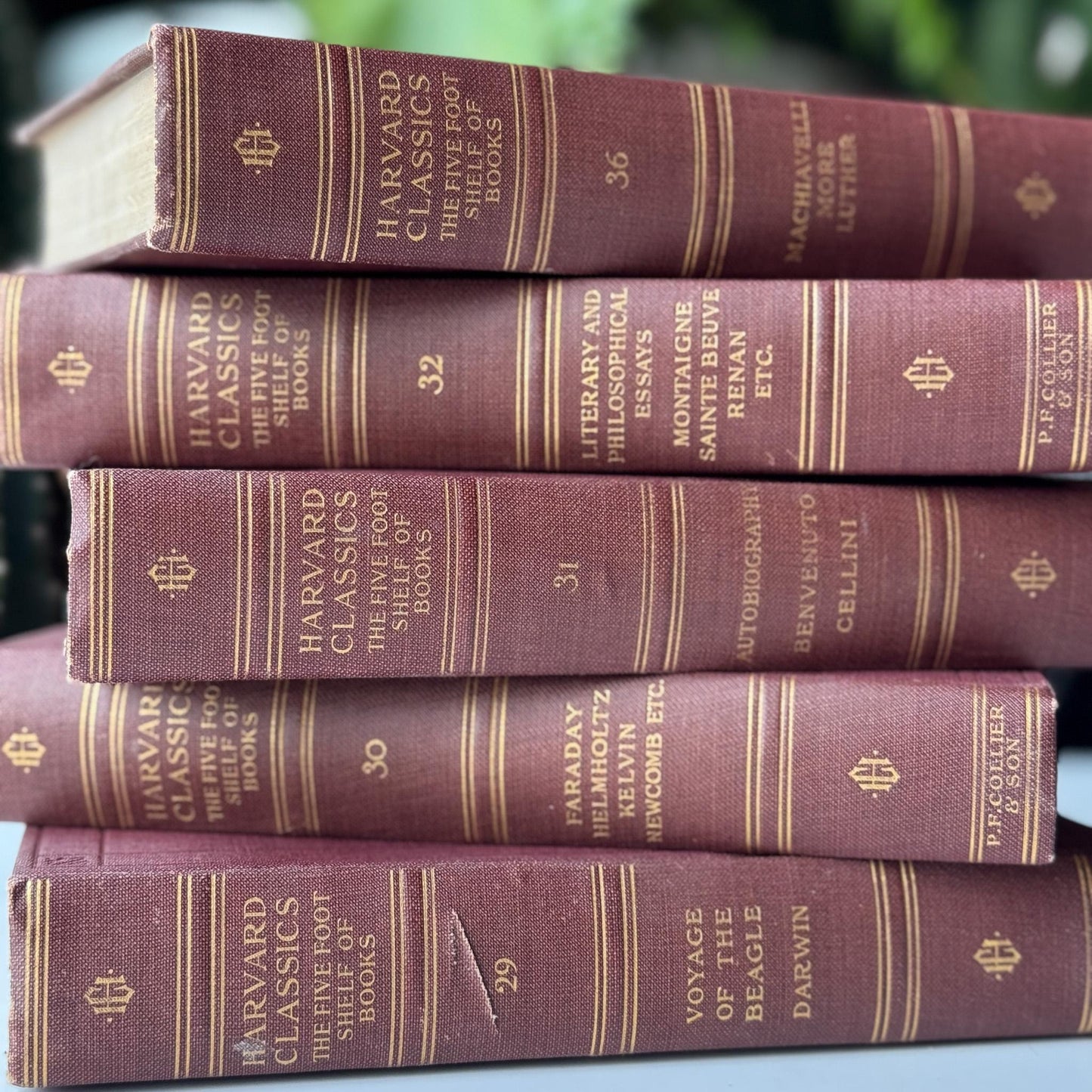 Red Harvard Classics Five Foot Shelf of Books Partial Set, 1910 Set of 5 - Pretty Old Books