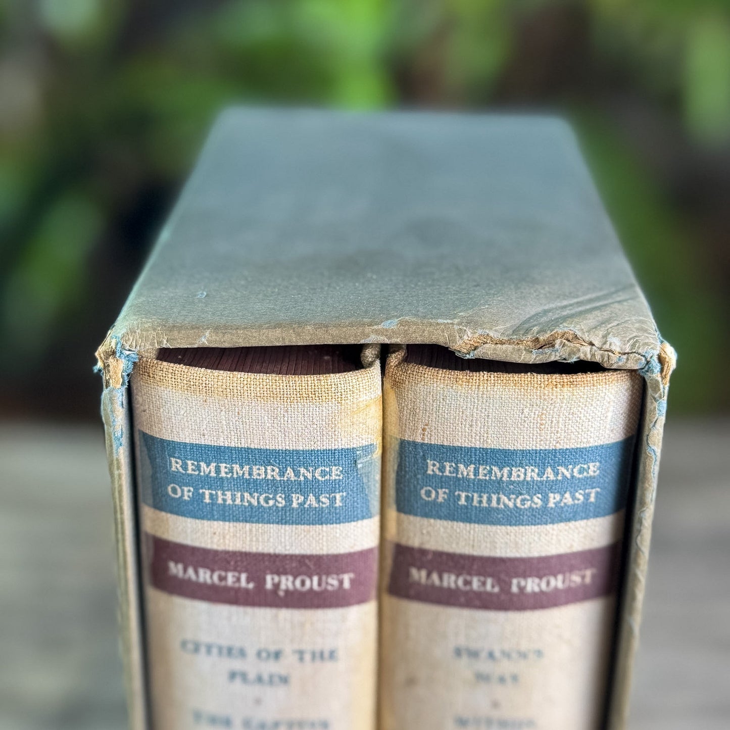 Remembrance of Things Past, Marcel Proust, 1934 - Pretty Old Books