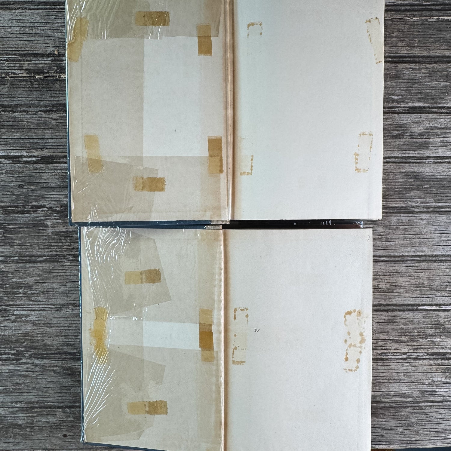 Remembrance of Things Past, Marcel Proust, 1934 - Pretty Old Books