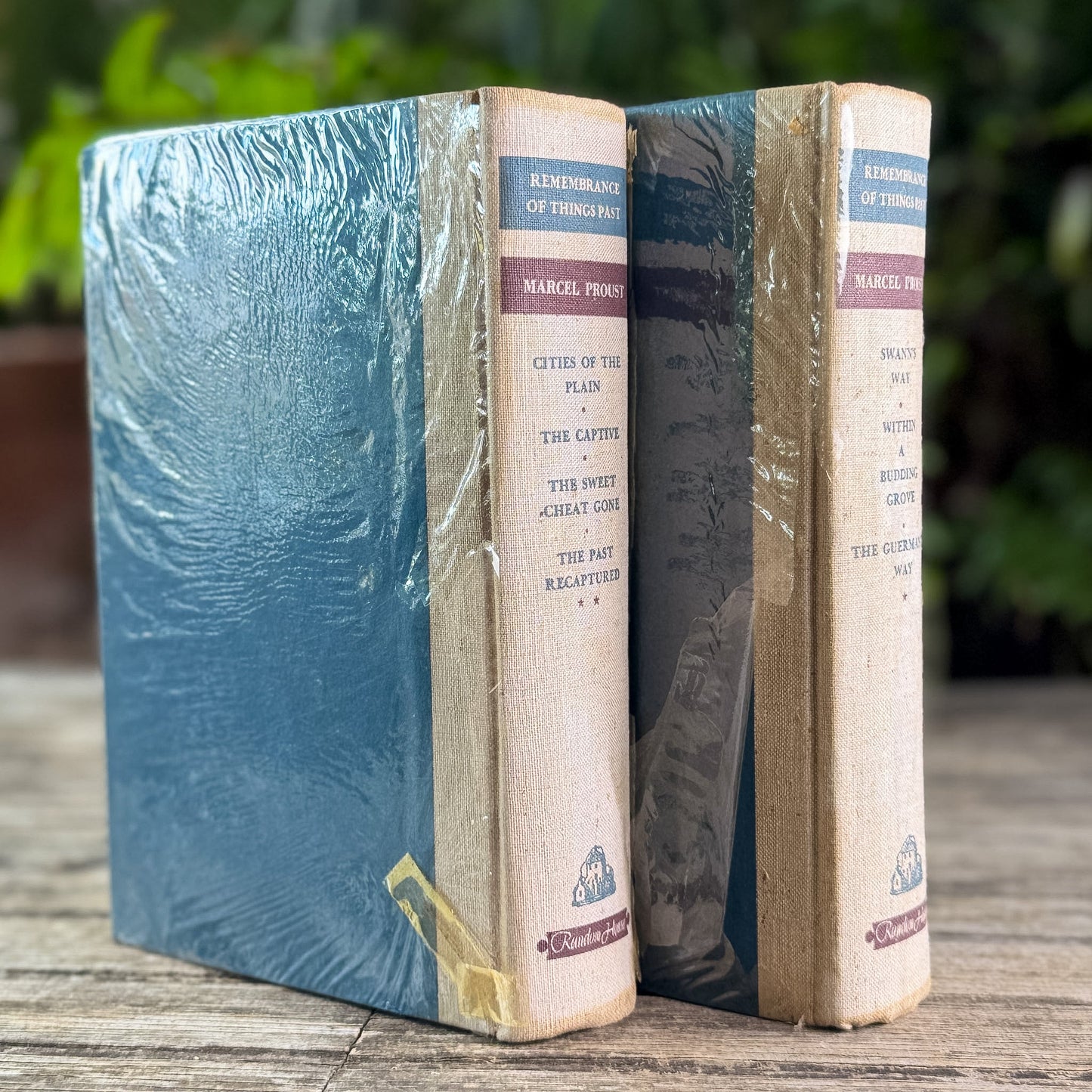 Remembrance of Things Past, Marcel Proust, 1934 - Pretty Old Books