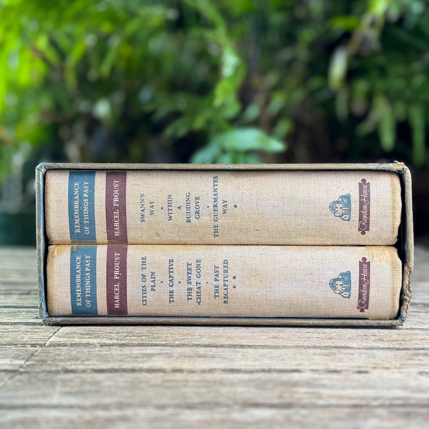 Remembrance of Things Past, Marcel Proust, 1934 - Pretty Old Books