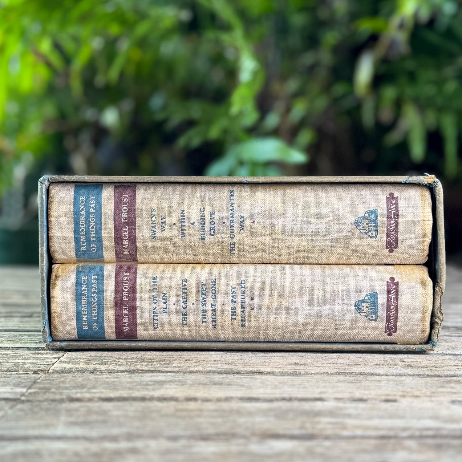 Remembrance of Things Past, Marcel Proust, 1934 - Pretty Old Books