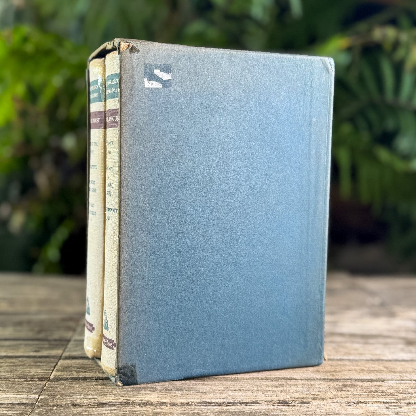 Remembrance of Things Past, Marcel Proust, 1934 - Pretty Old Books