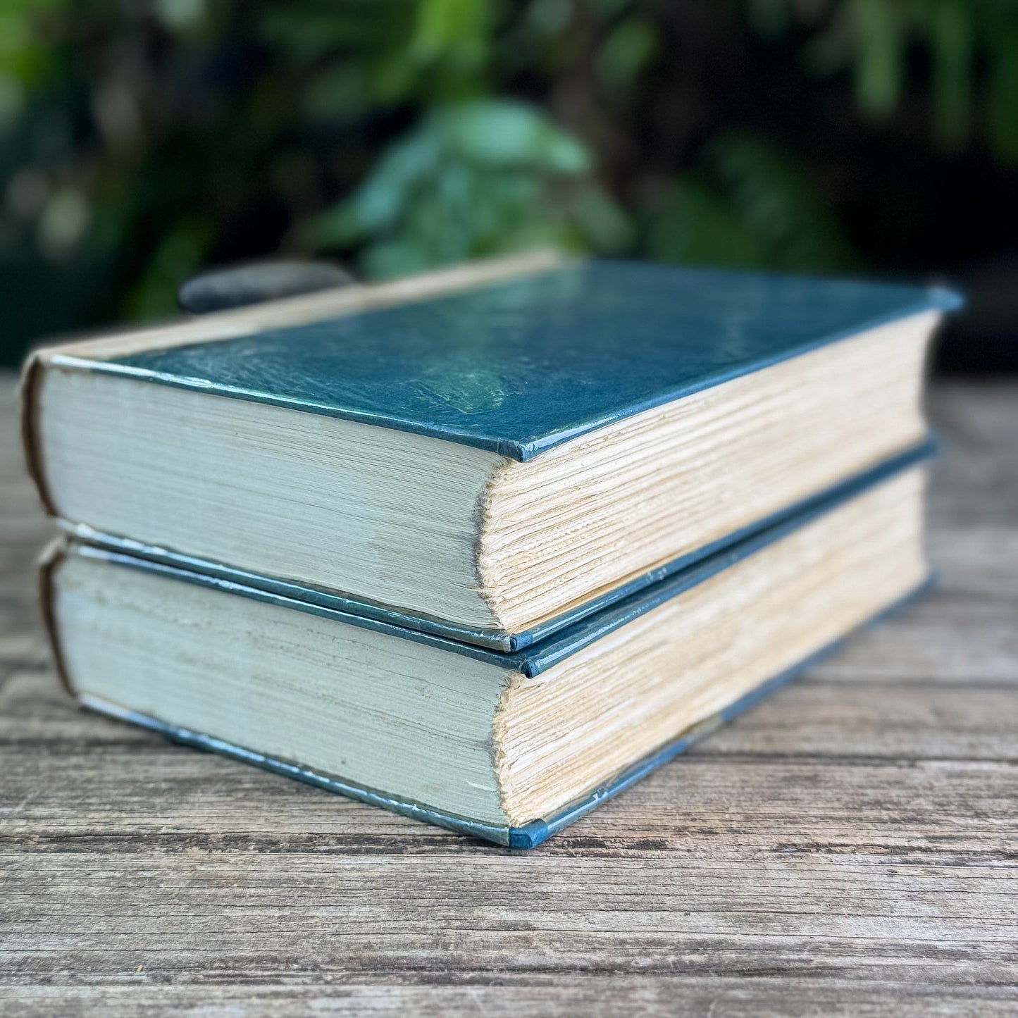 Remembrance of Things Past, Marcel Proust, 1934 - Pretty Old Books