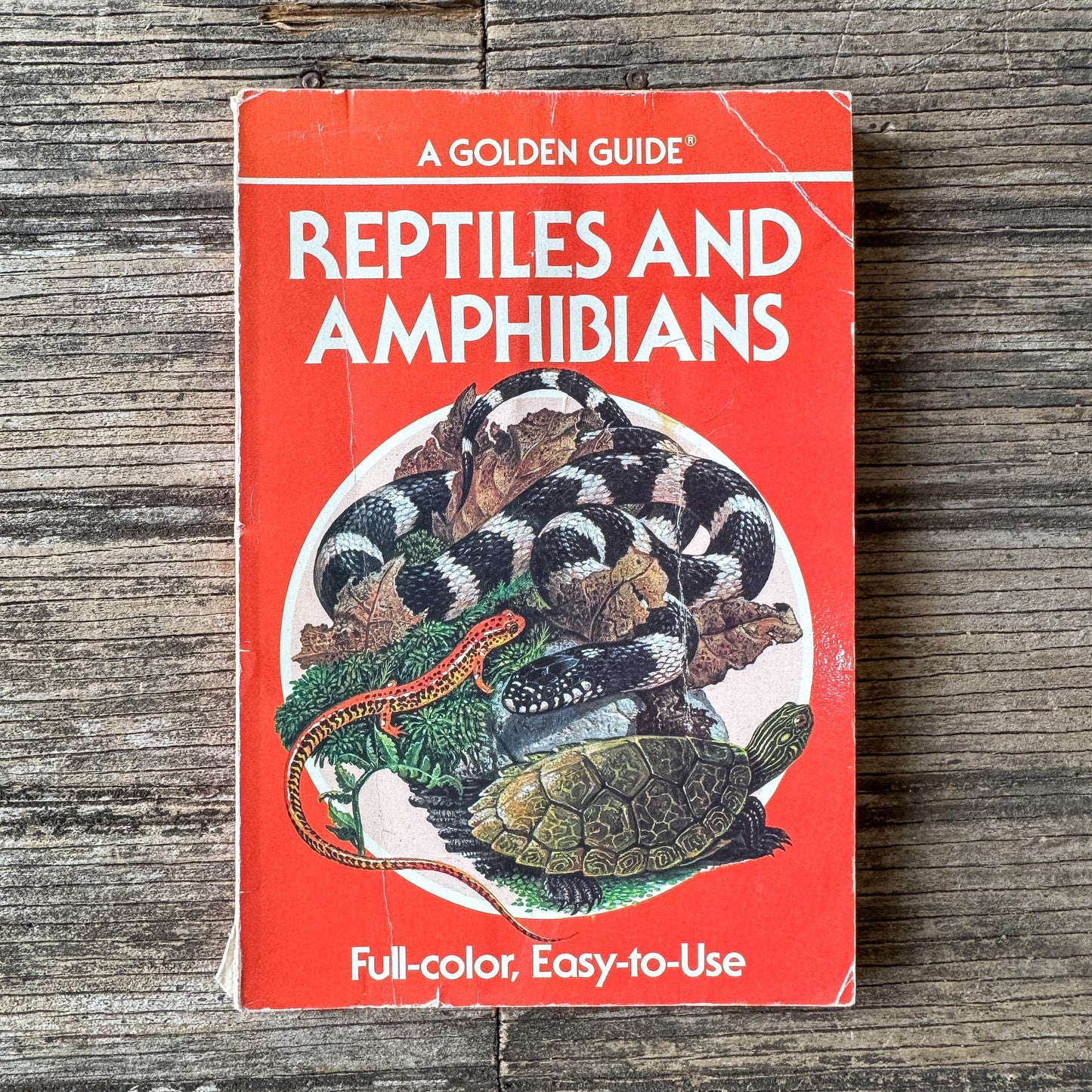 Reptiles and Amphibians, Golden Field Guide - Pretty Old Books