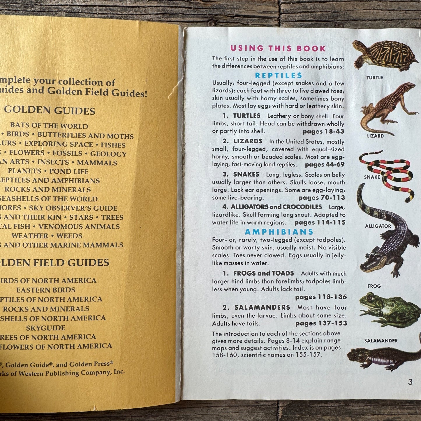 Reptiles and Amphibians, Golden Field Guide - Pretty Old Books